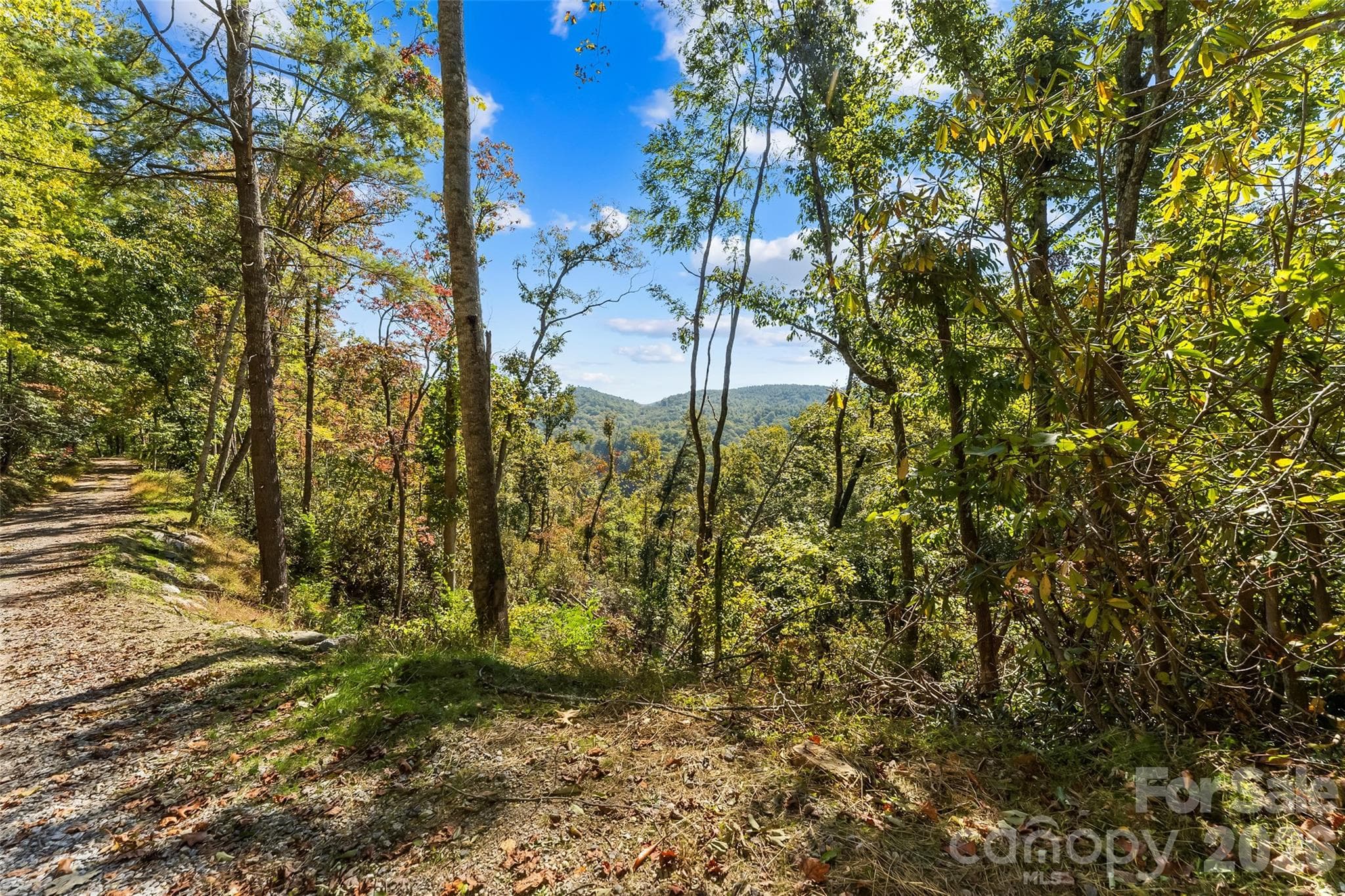 Acreage at 605 Lower Loop Drive, Fletcher, photo 12 of 14
