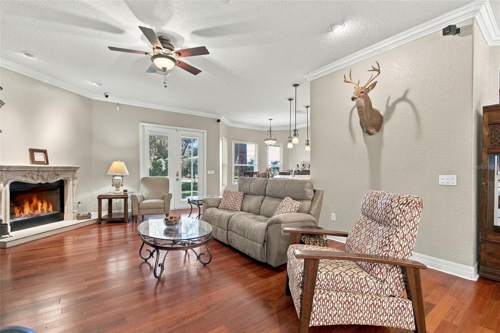 Living room with look into dinette area.  The double doors lead out to the screened back porch.  The fireplace is propane gas. - 4108 N FORBES RD, PLANT CITY