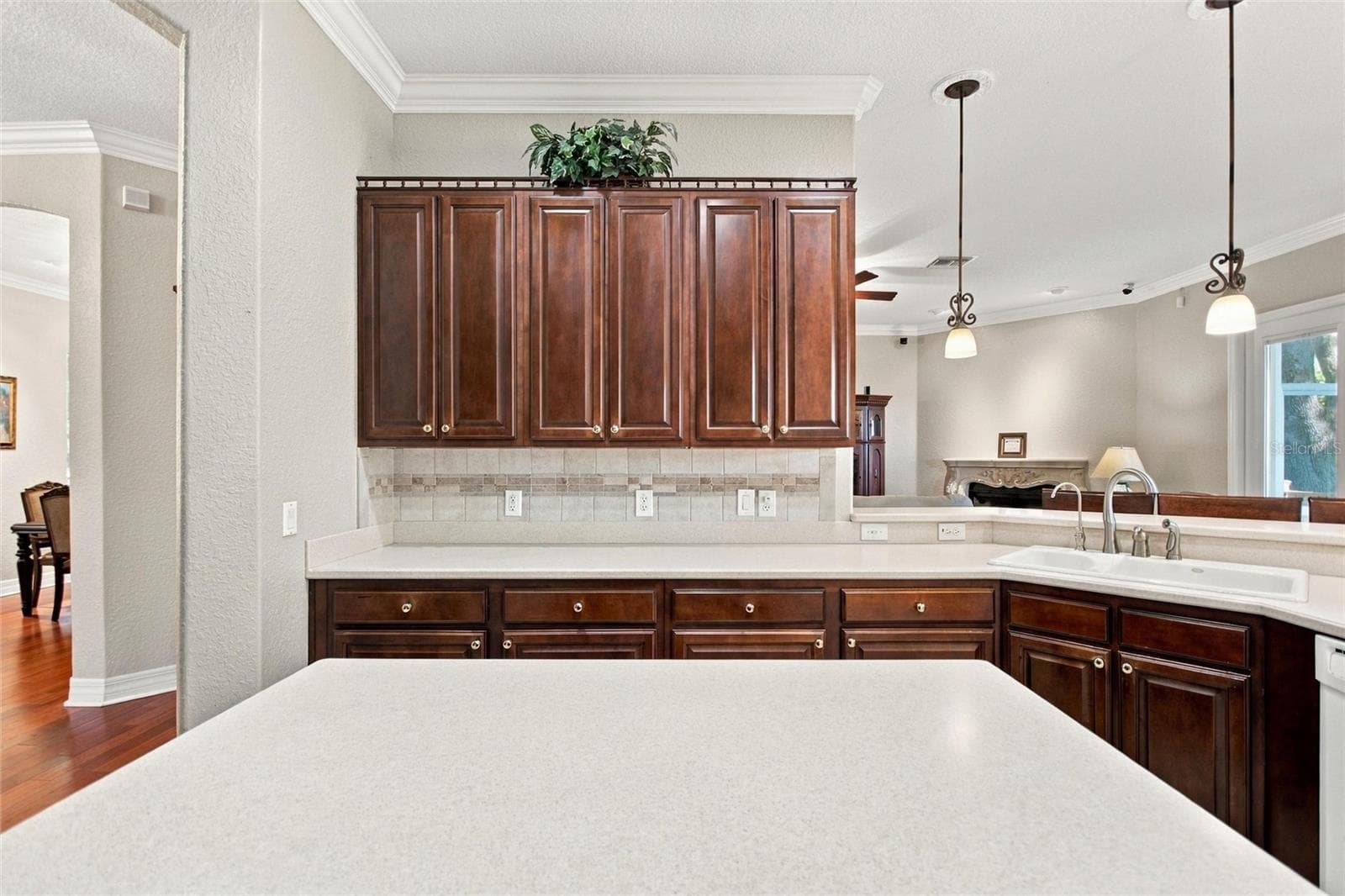 Side vew of kitchen - 4108 N FORBES RD, PLANT CITY