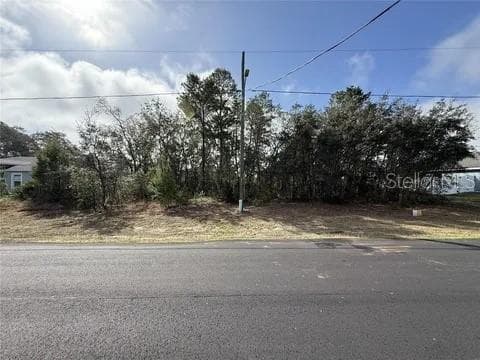 Land at 16 LARCH LN, POINCIANA, photo 3 of 3