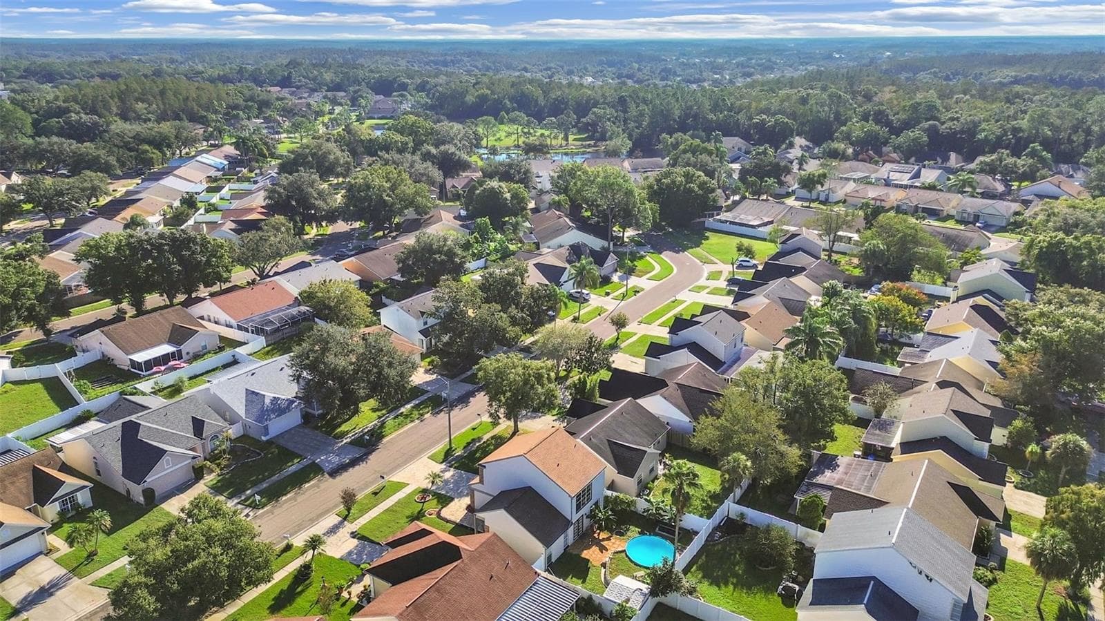 Single Family Residence at 9713 LITTLE POND WAY, TAMPA, photo 11 of 54