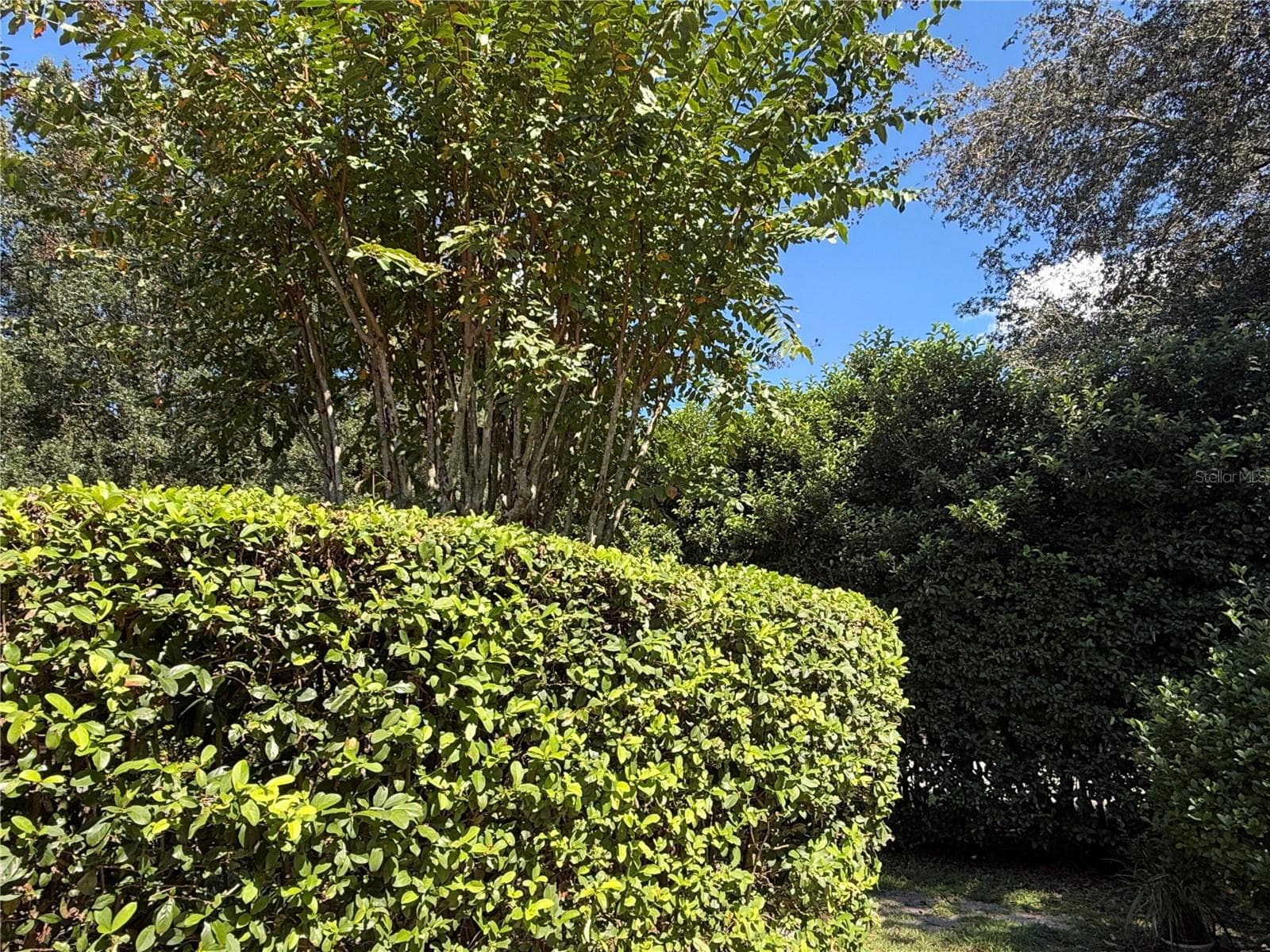 Single Family Residence at 8368 SW 79TH CIR, OCALA, photo 115 of 116