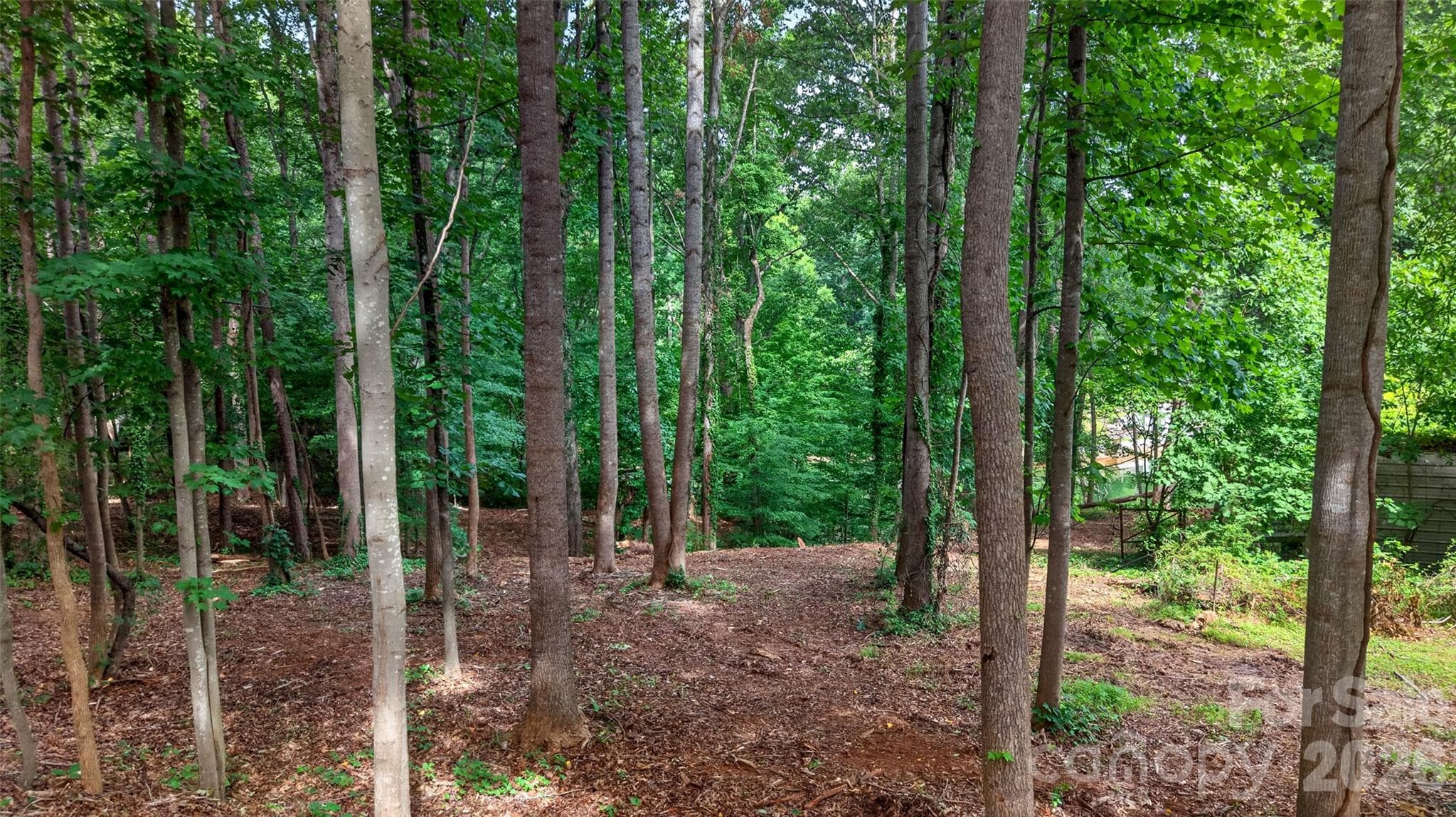 Lot at 7124 Nancy Lee Circle, Sherrills Ford, photo 6 of 9