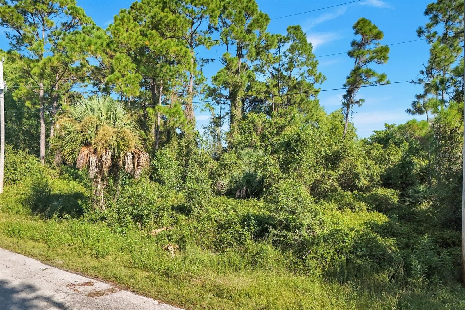 Land at 647 PARKDALE BLVD, LEHIGH ACRES, photo 6 of 15