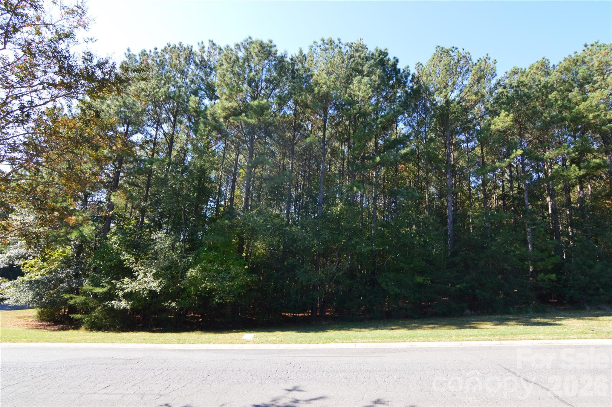 Center - 4001 Deer Park Lane, Belmont