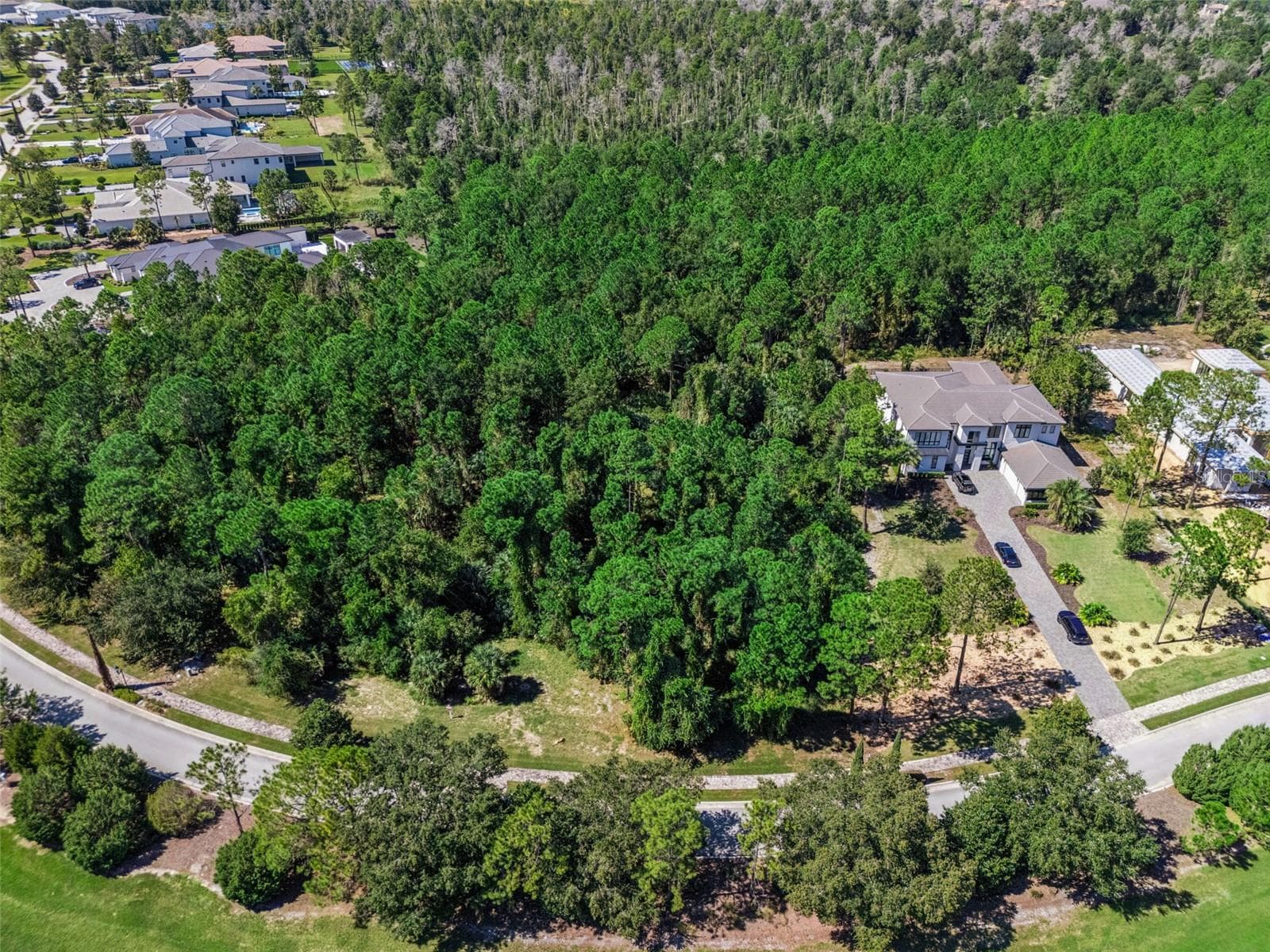 Land at 15942 PENDIO DR, MONTVERDE, photo 6 of 37