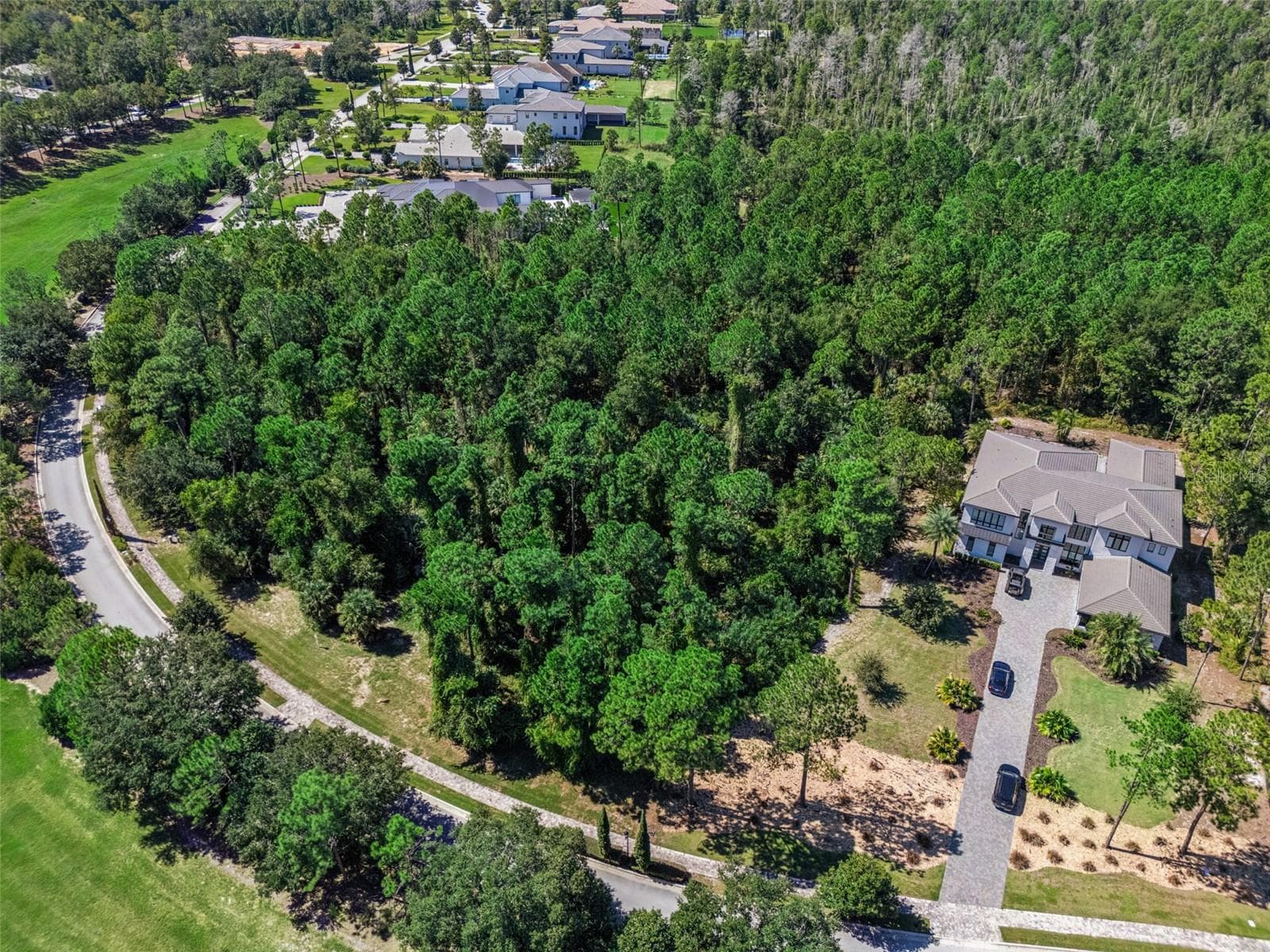 Land at 15942 PENDIO DR, MONTVERDE, photo 8 of 37