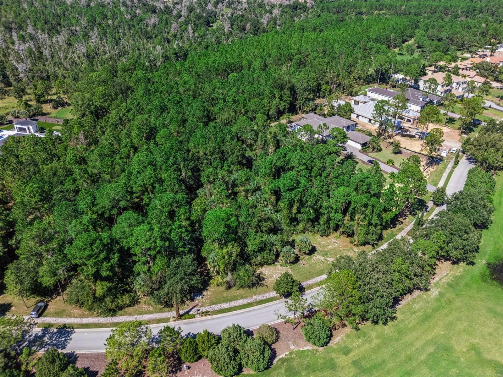 Land at 15942 PENDIO DR, MONTVERDE, photo 10 of 37