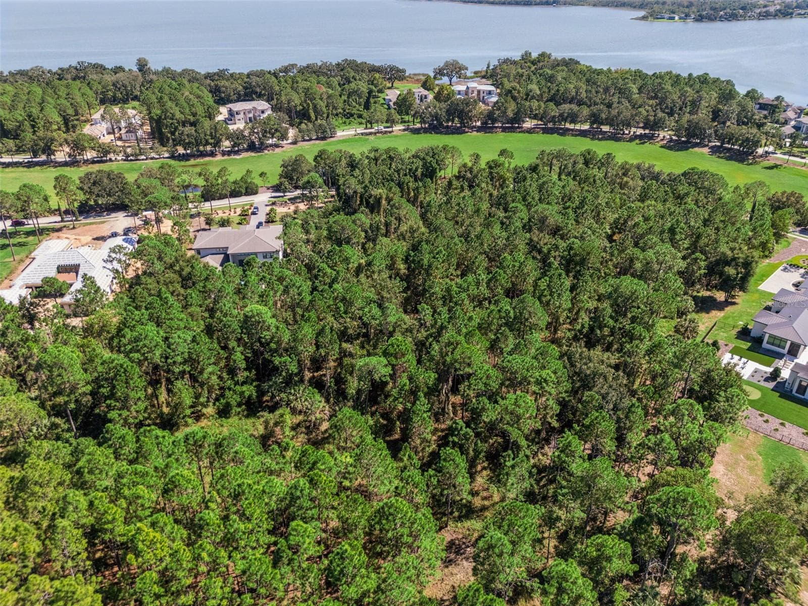 Land at 15942 PENDIO DR, MONTVERDE, photo 14 of 37