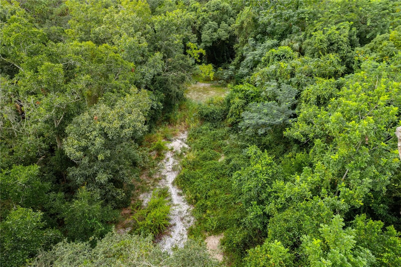 Land at 3141 N MCMULLEN BOOTH RD, CLEARWATER, photo 12 of 12