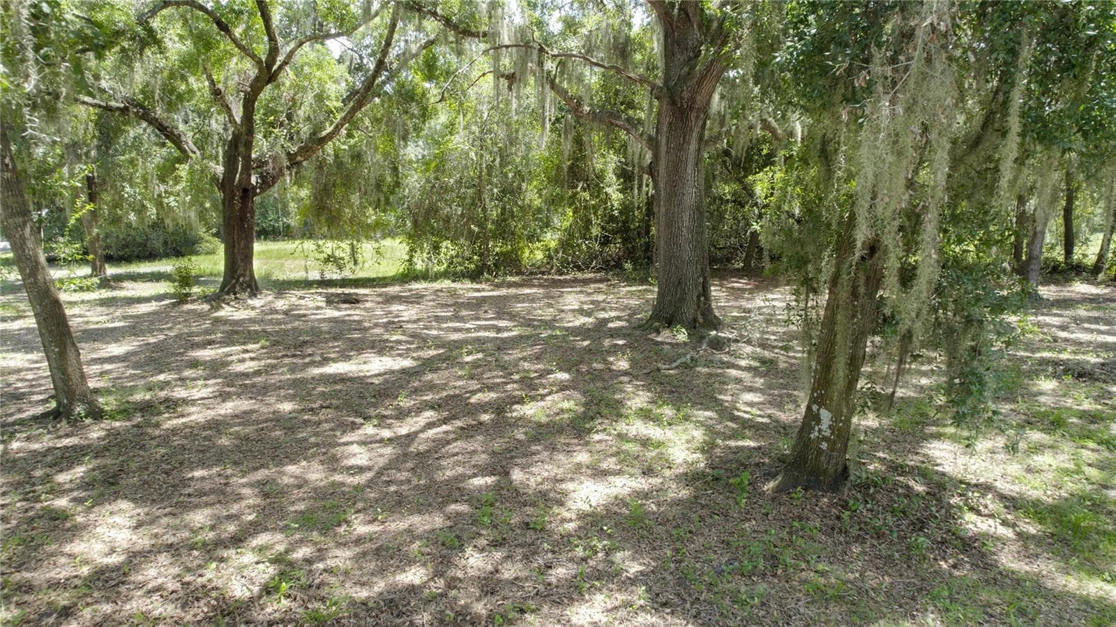 Land at 0 SEMINOLE RD, ST CLOUD, photo 2 of 4