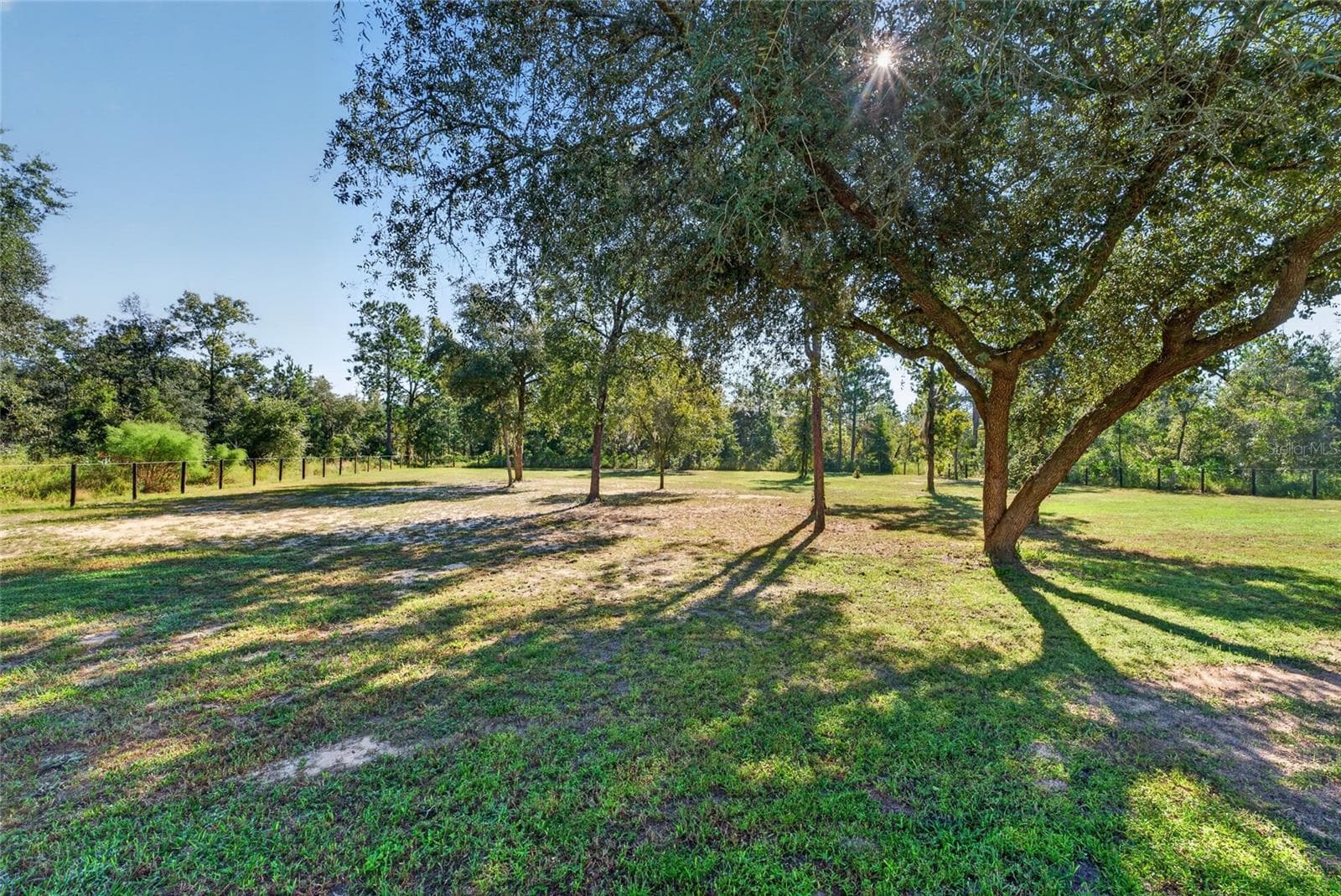 View of backyard - 2231 SE 132ND CT, MORRISTON