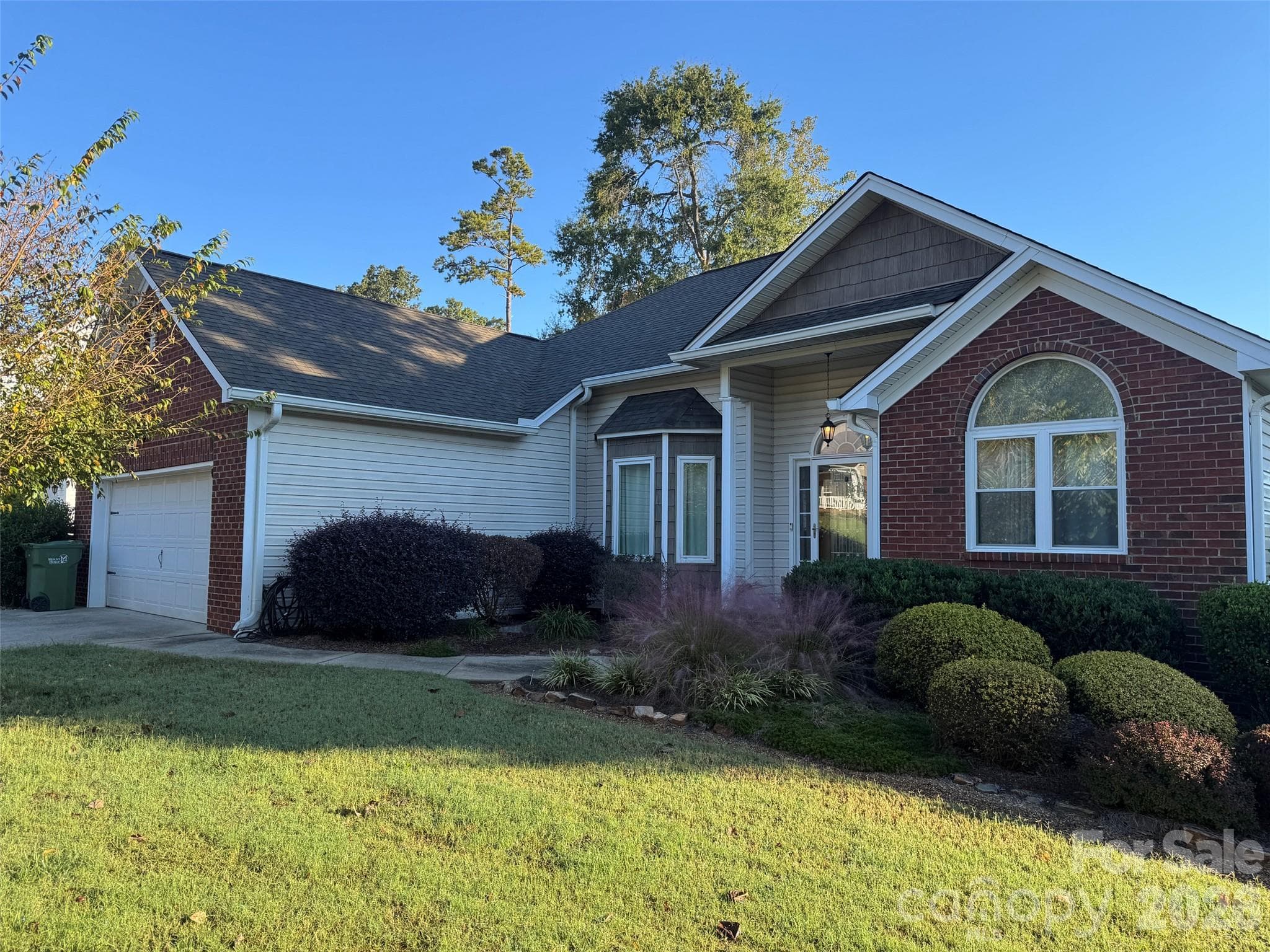 204 Silver Birch Lane