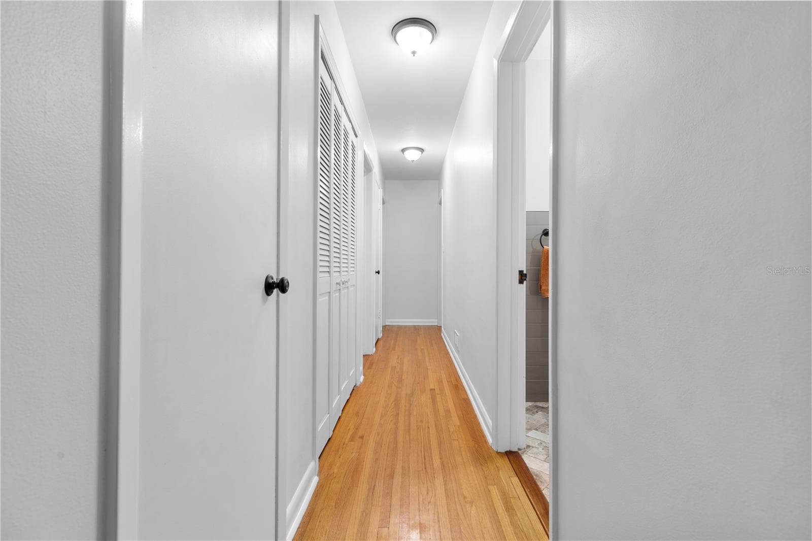 Hallway - 1324 WHITACRE DR, CLEARWATER