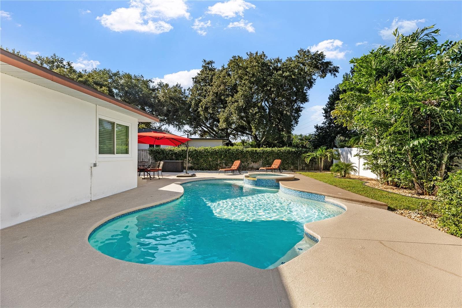 Pool in the backyard - 1324 WHITACRE DR, CLEARWATER