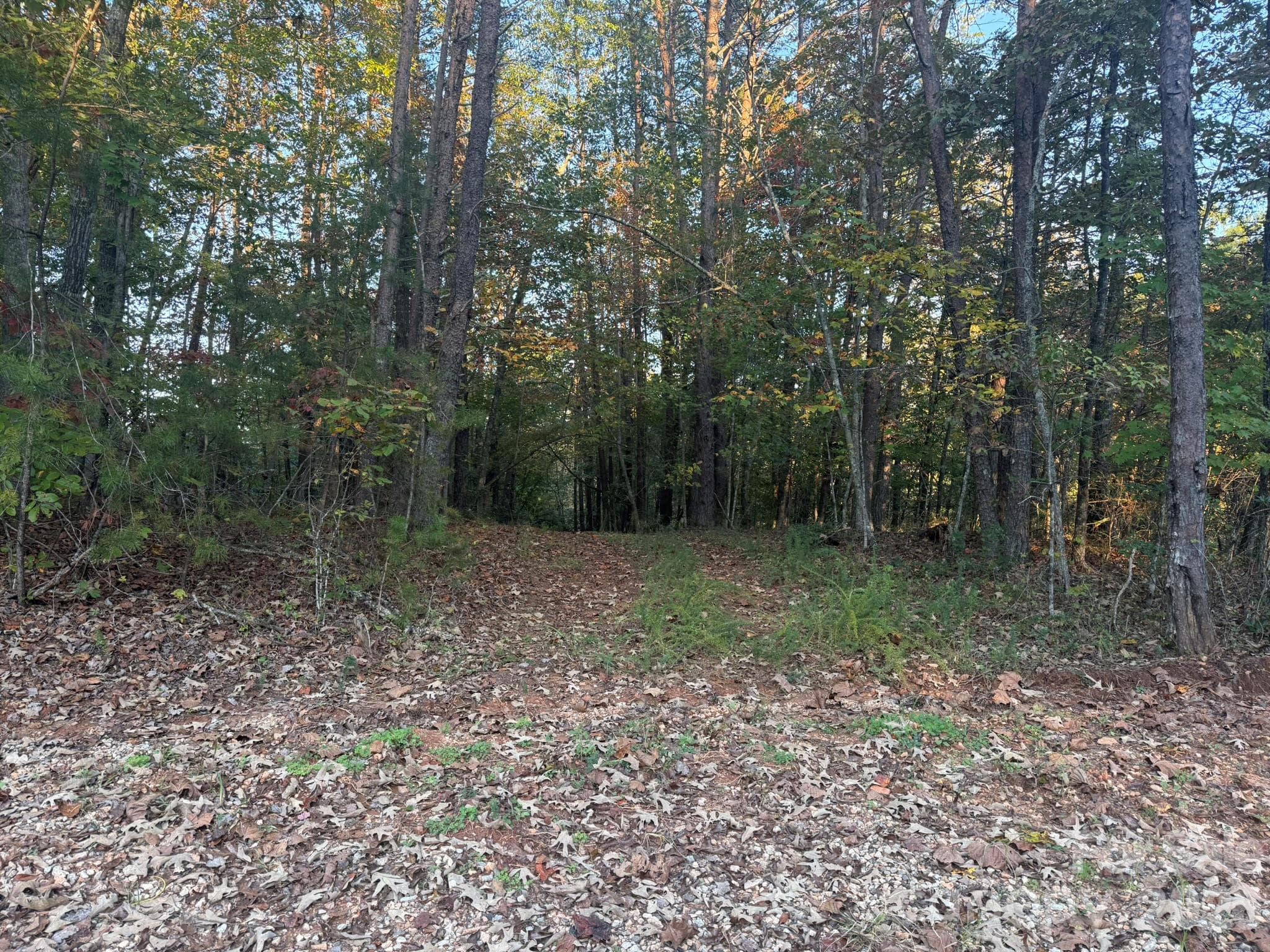 Entrance off Secluded Drive - V/L Secluded Circle, Marion