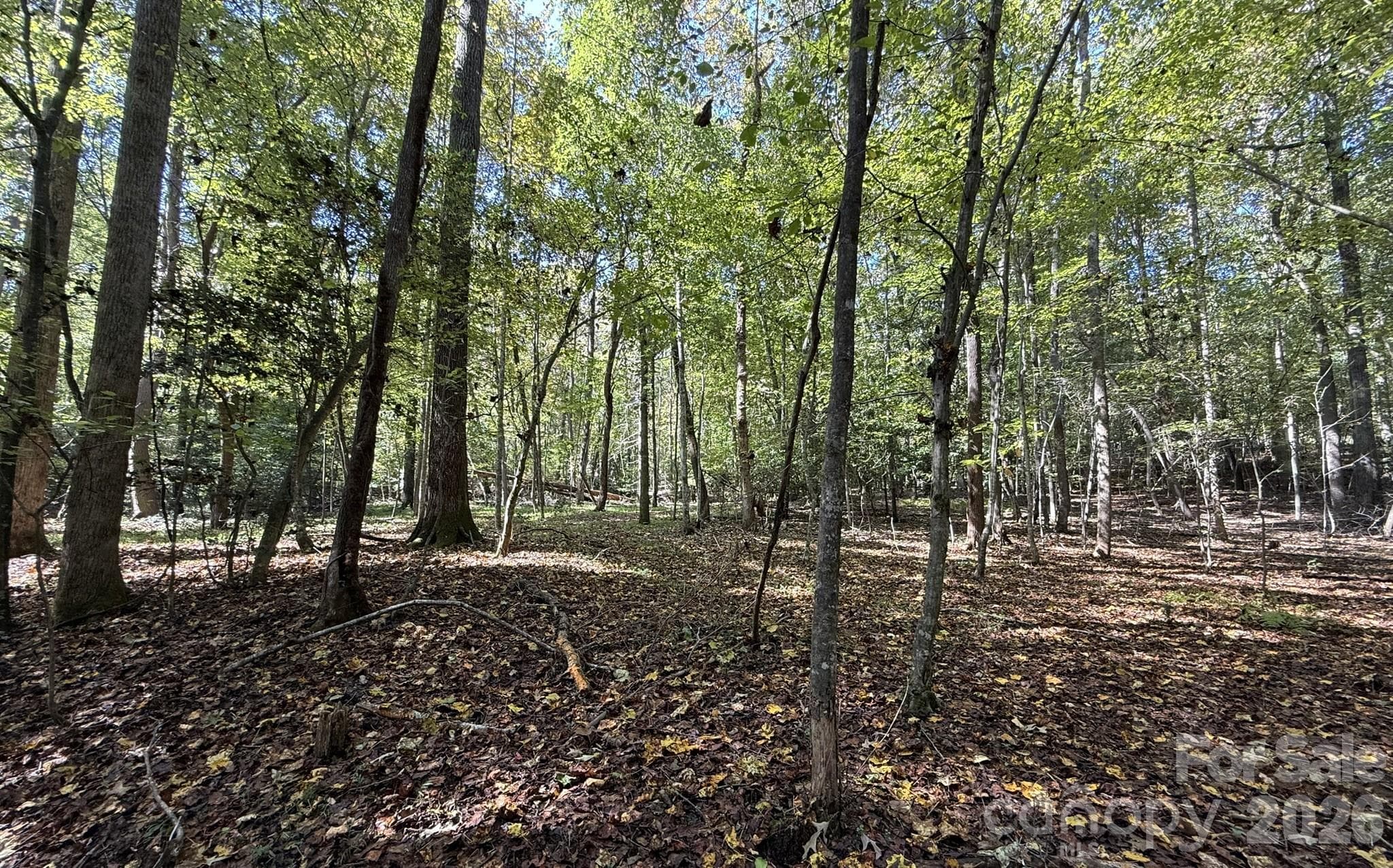Opens up - V/L Secluded Circle, Marion