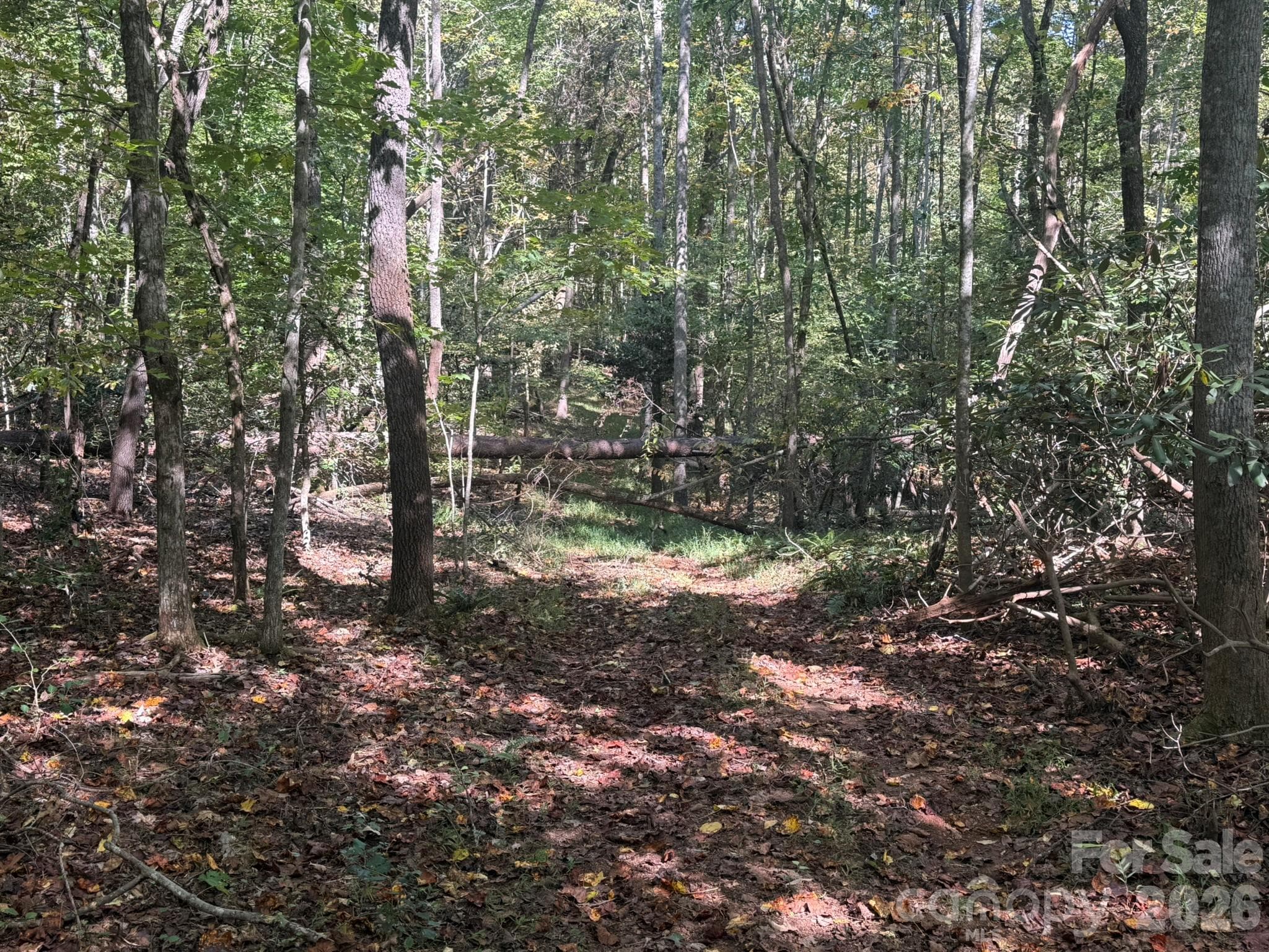 Existing access - V/L Secluded Circle, Marion