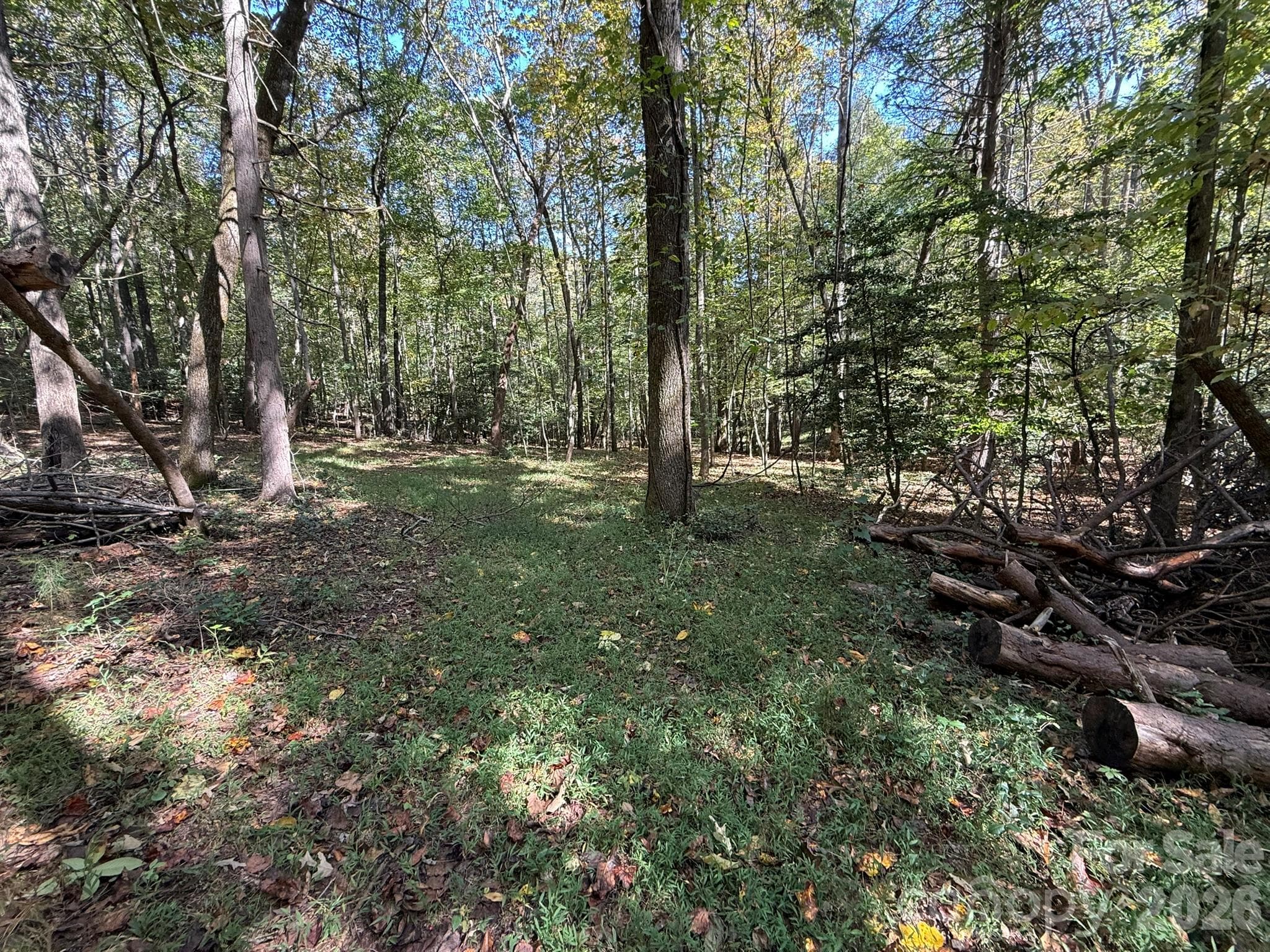 Acreage at V/L Secluded Circle, Marion, photo 10 of 48