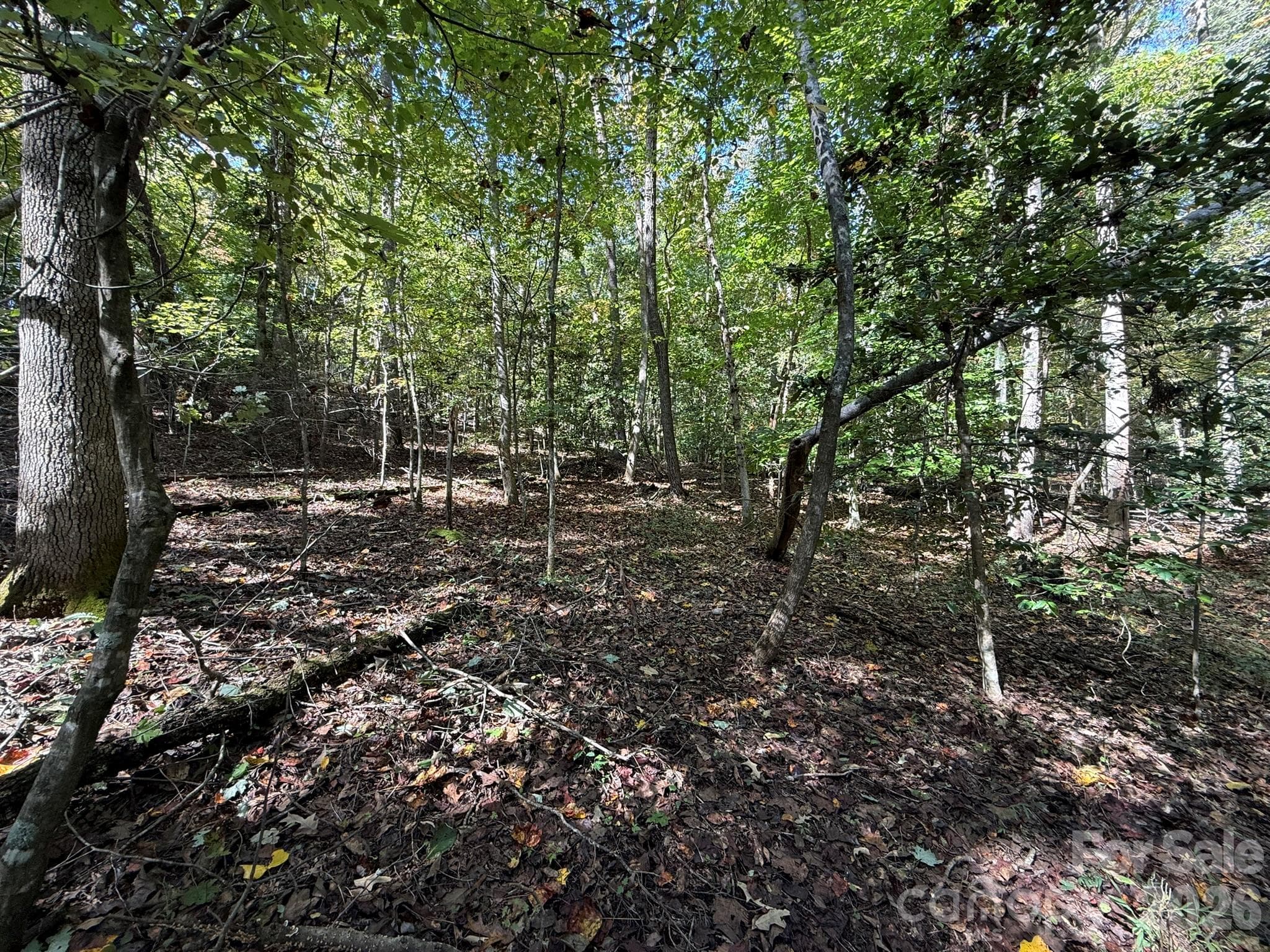 Acreage at V/L Secluded Circle, Marion, photo 11 of 48
