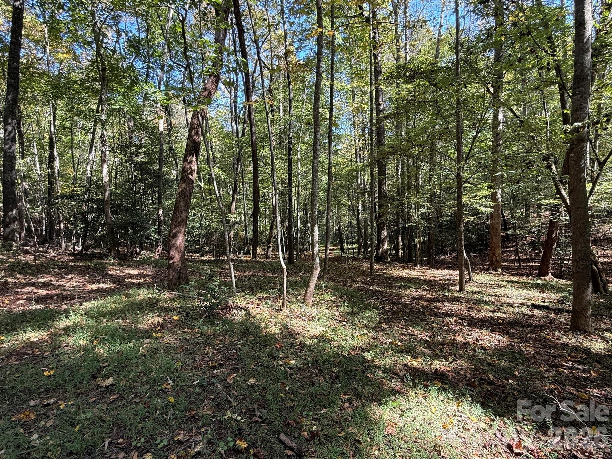 Acreage at V/L Secluded Circle, Marion, photo 15 of 48