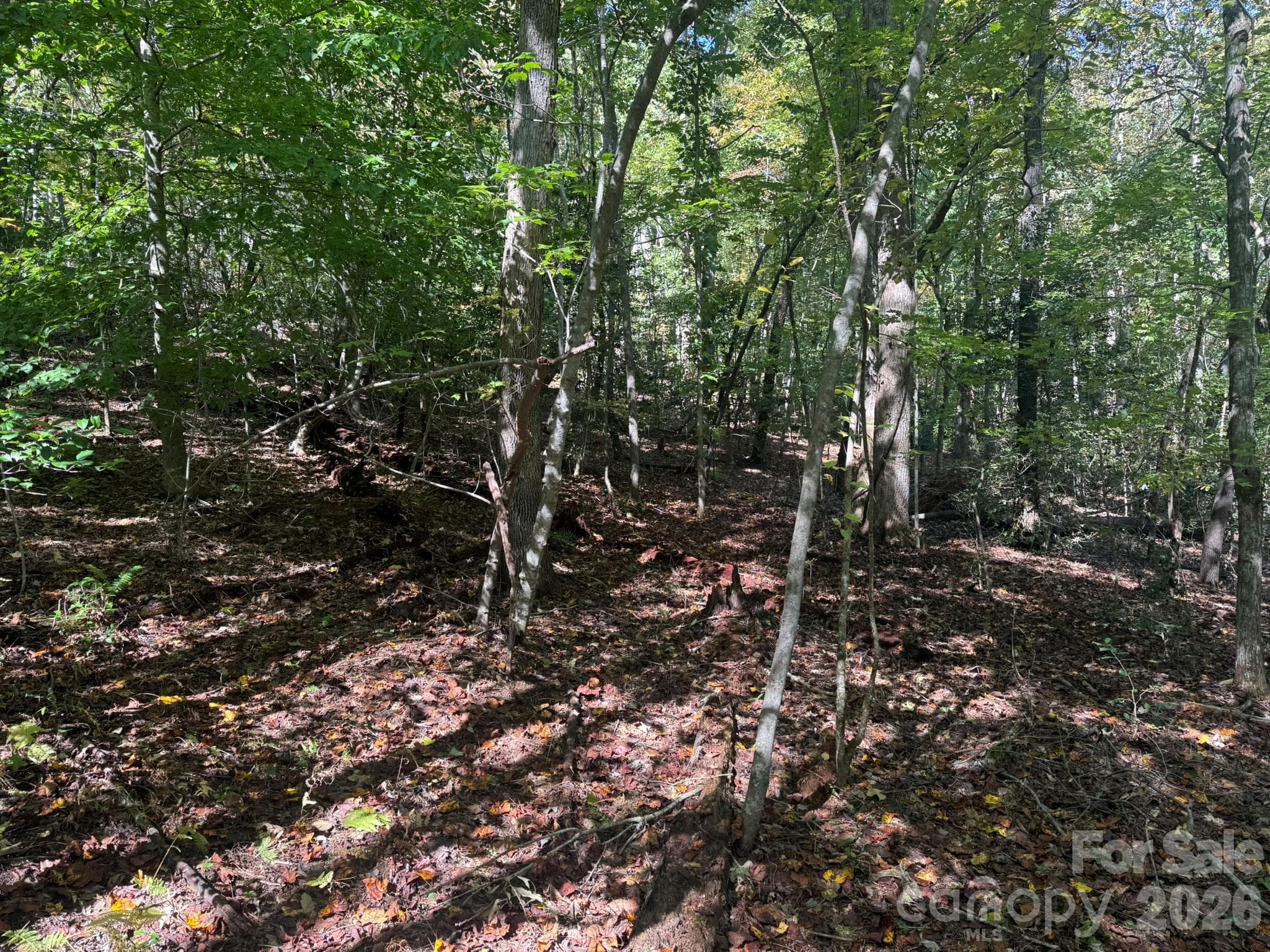 Acreage at V/L Secluded Circle, Marion, photo 17 of 48