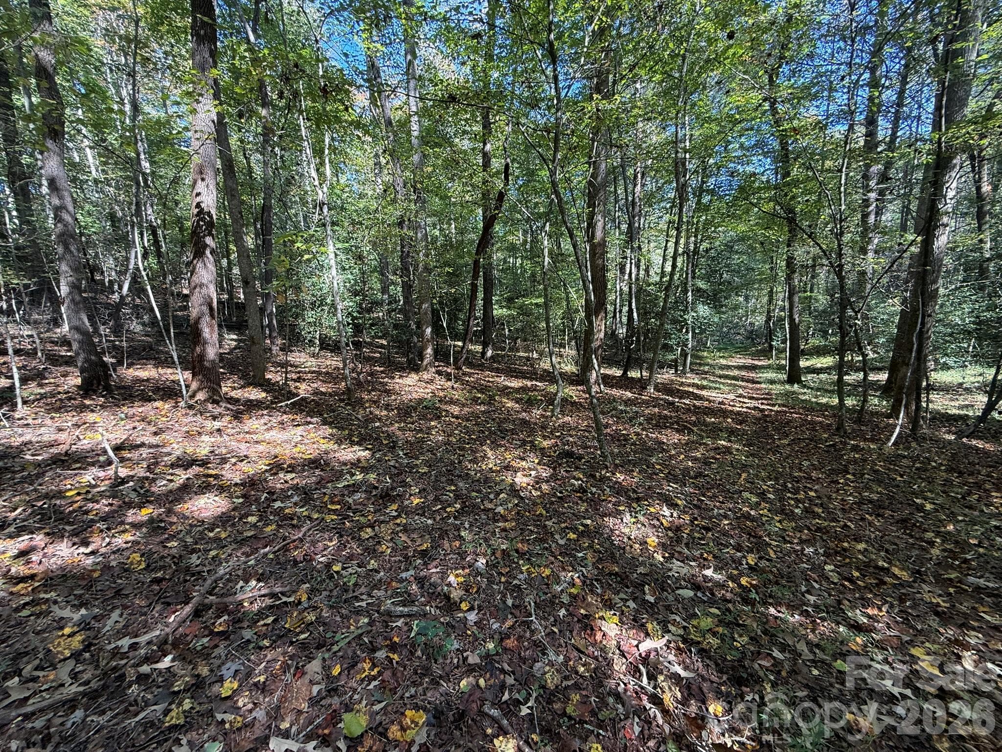 Acreage at V/L Secluded Circle, Marion, photo 18 of 48