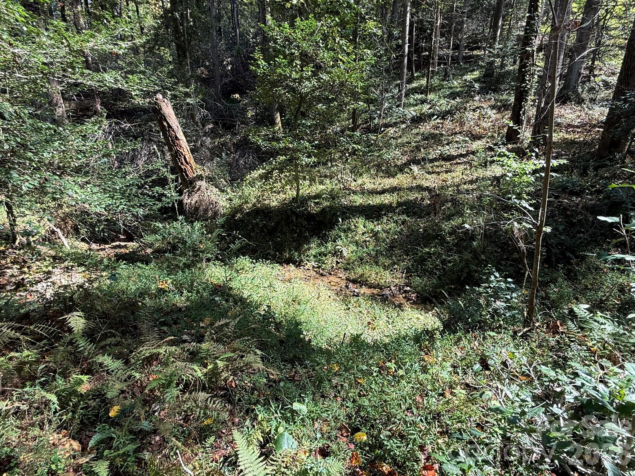Creek - V/L Secluded Circle, Marion
