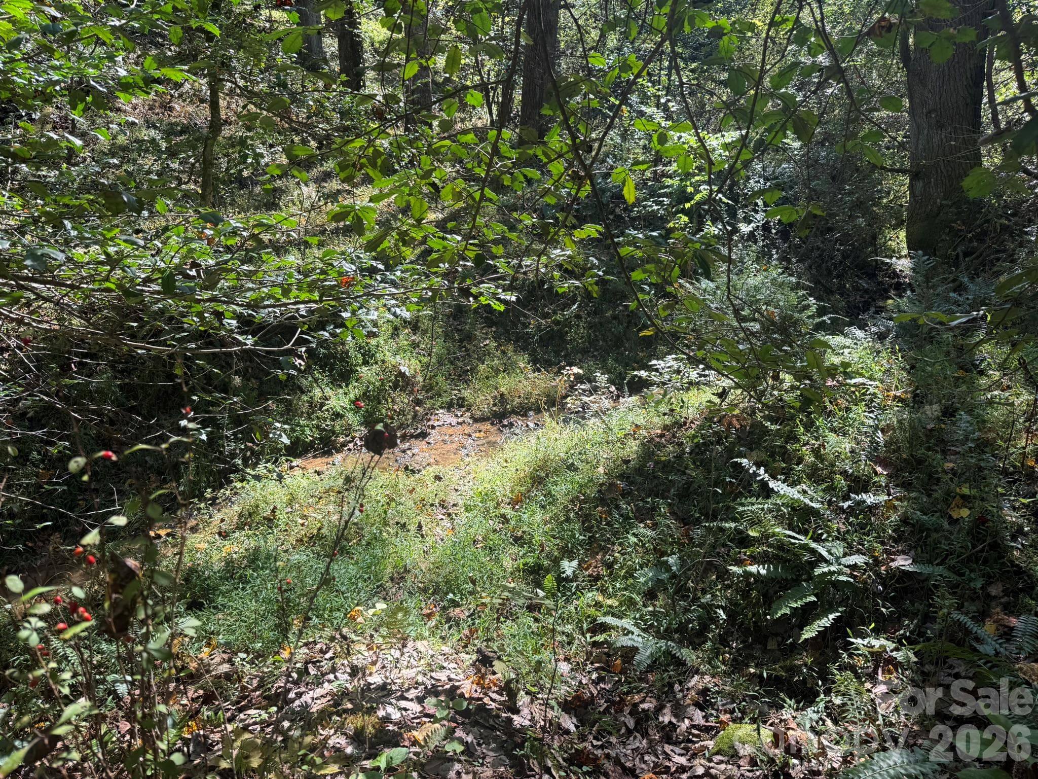 Creek - V/L Secluded Circle, Marion