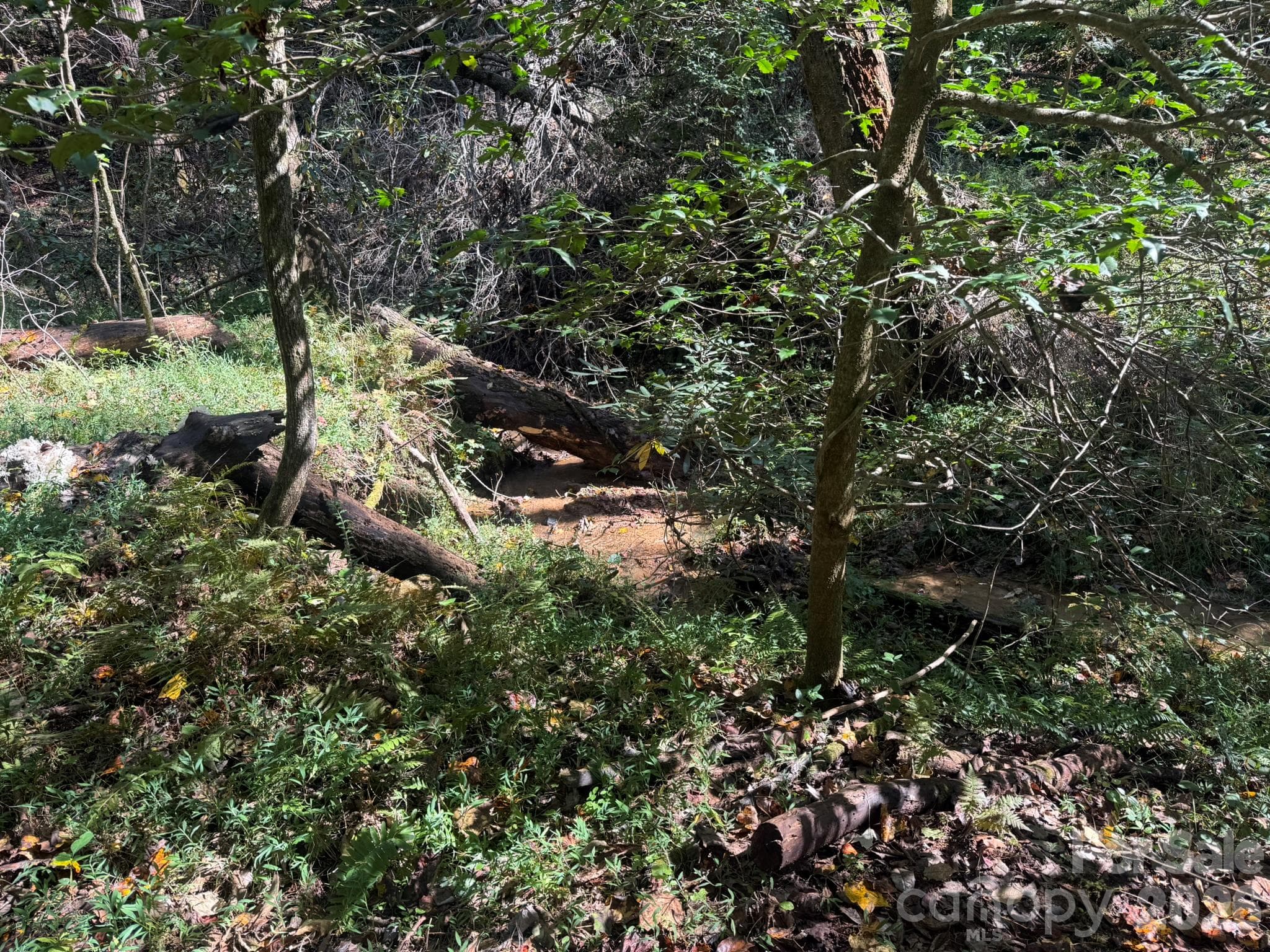 Creek - V/L Secluded Circle, Marion