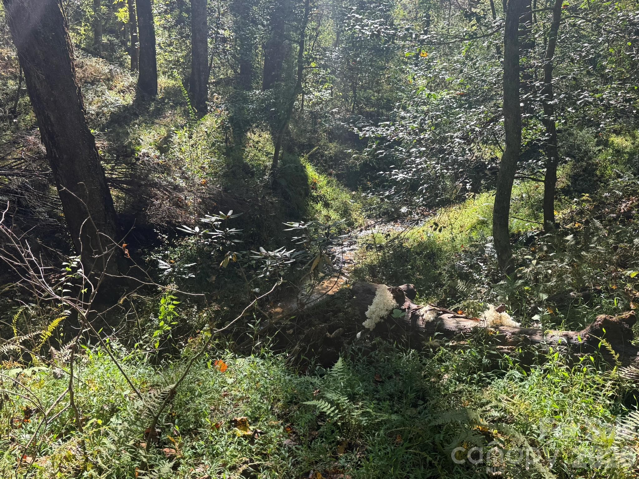 Creek - V/L Secluded Circle, Marion