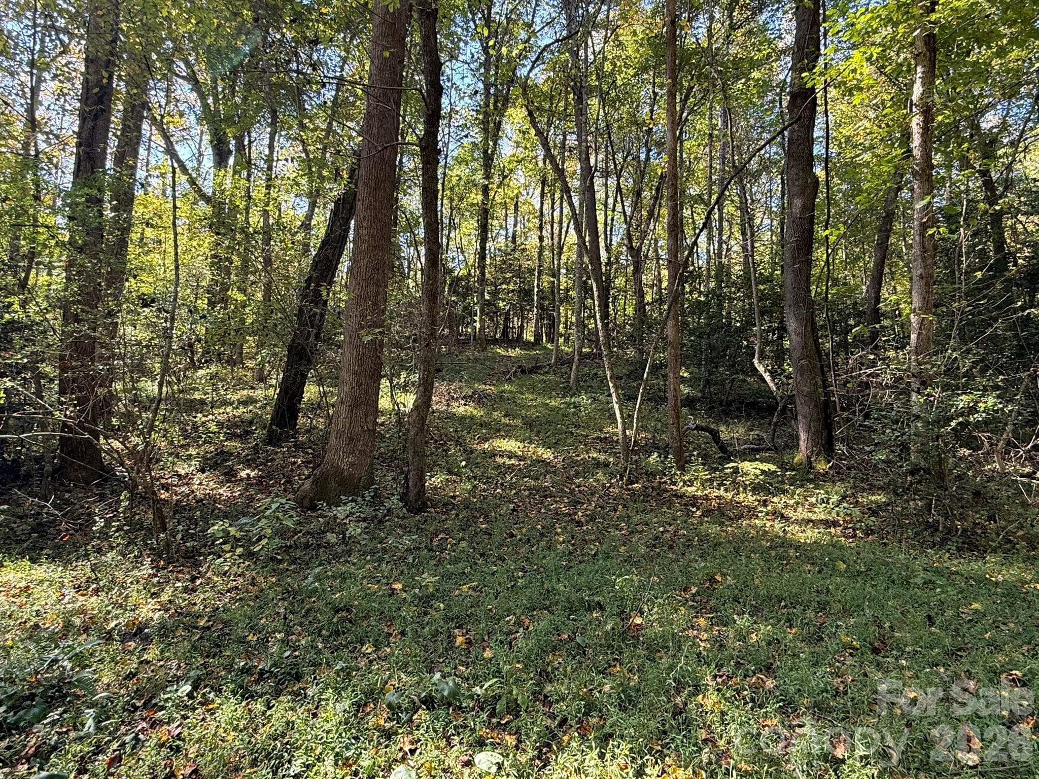 Knoll - V/L Secluded Circle, Marion
