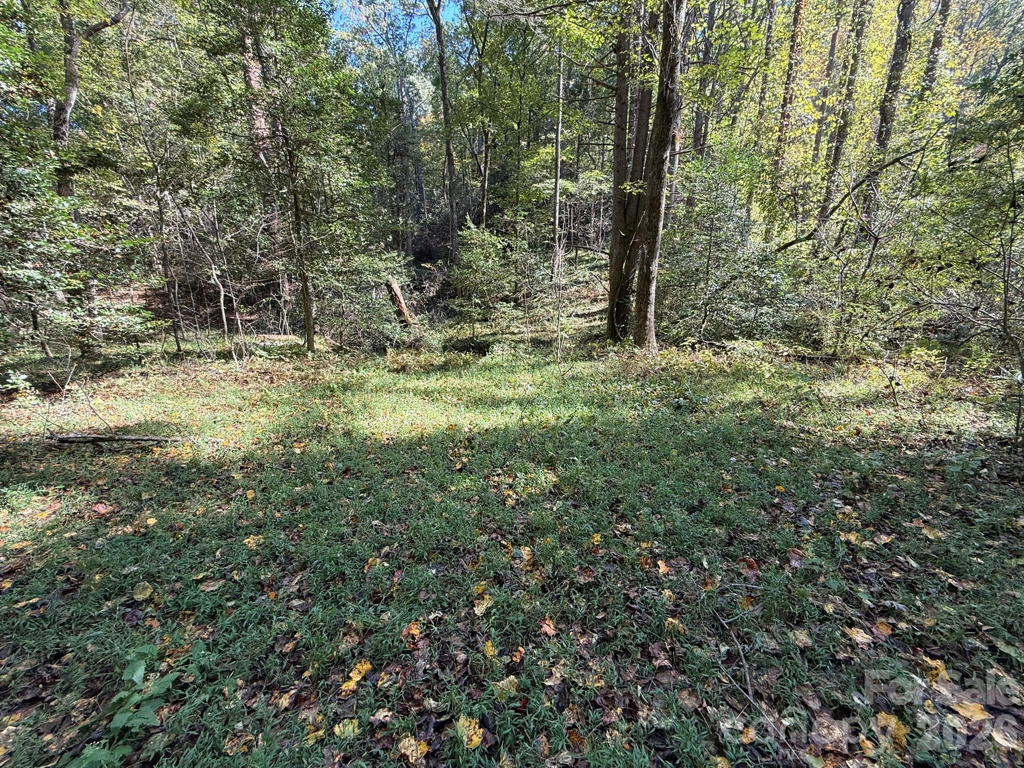 Acreage at V/L Secluded Circle, Marion, photo 27 of 48