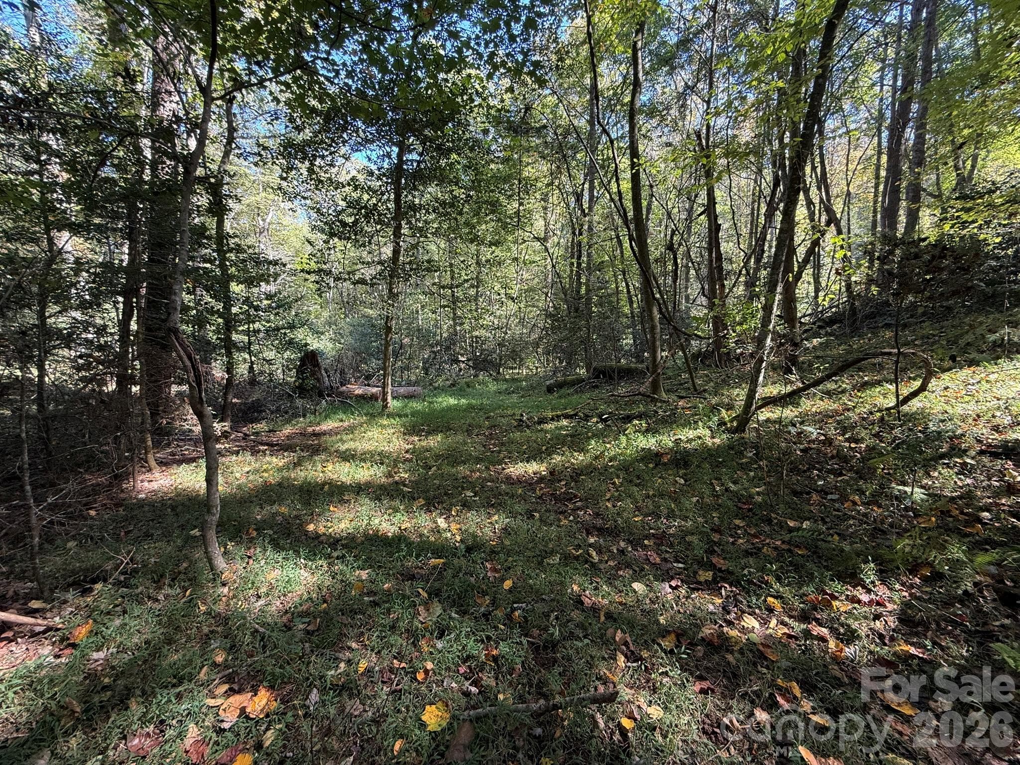 Looking back toward the creek - V/L Secluded Circle, Marion