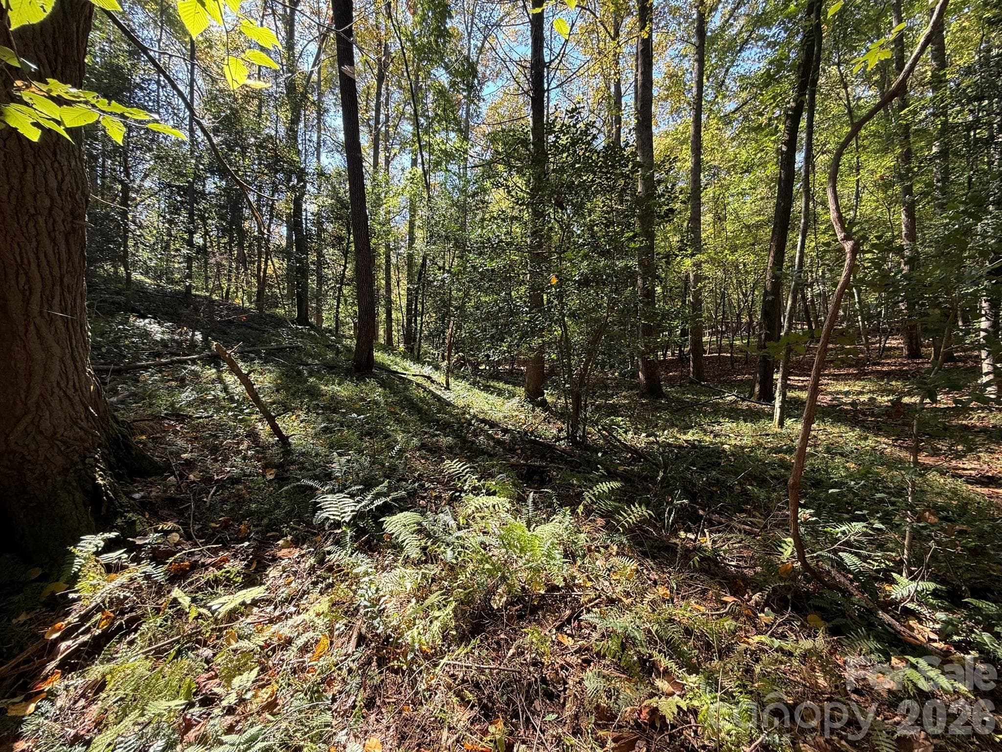 Knoll - V/L Secluded Circle, Marion