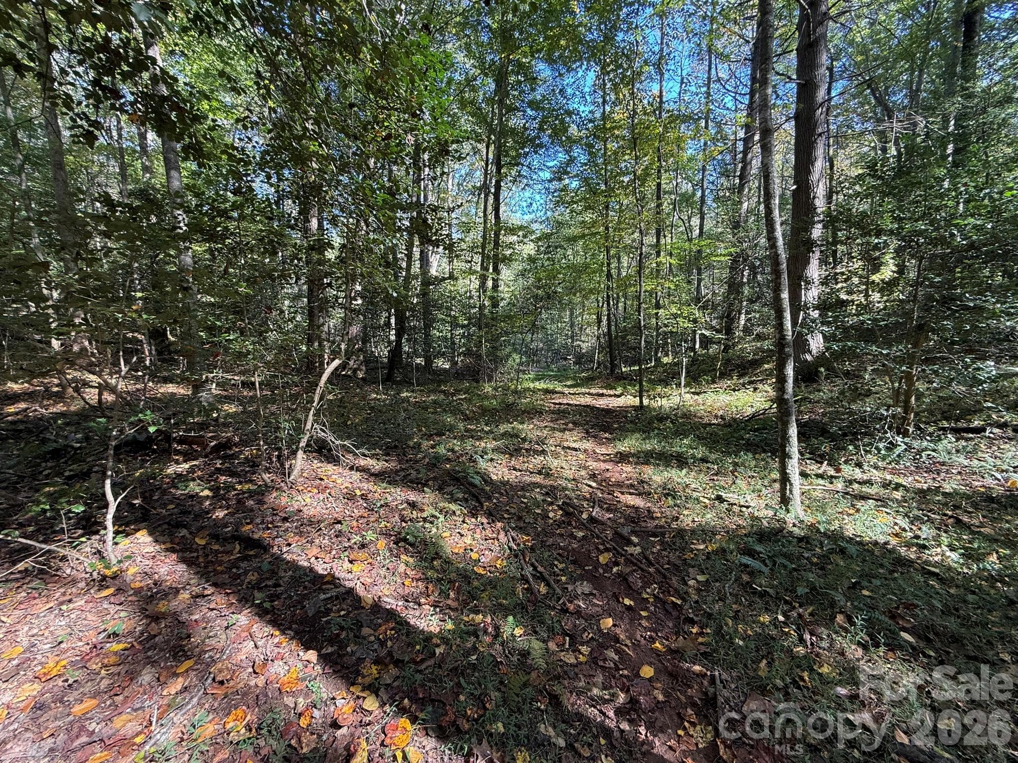 Access - V/L Secluded Circle, Marion