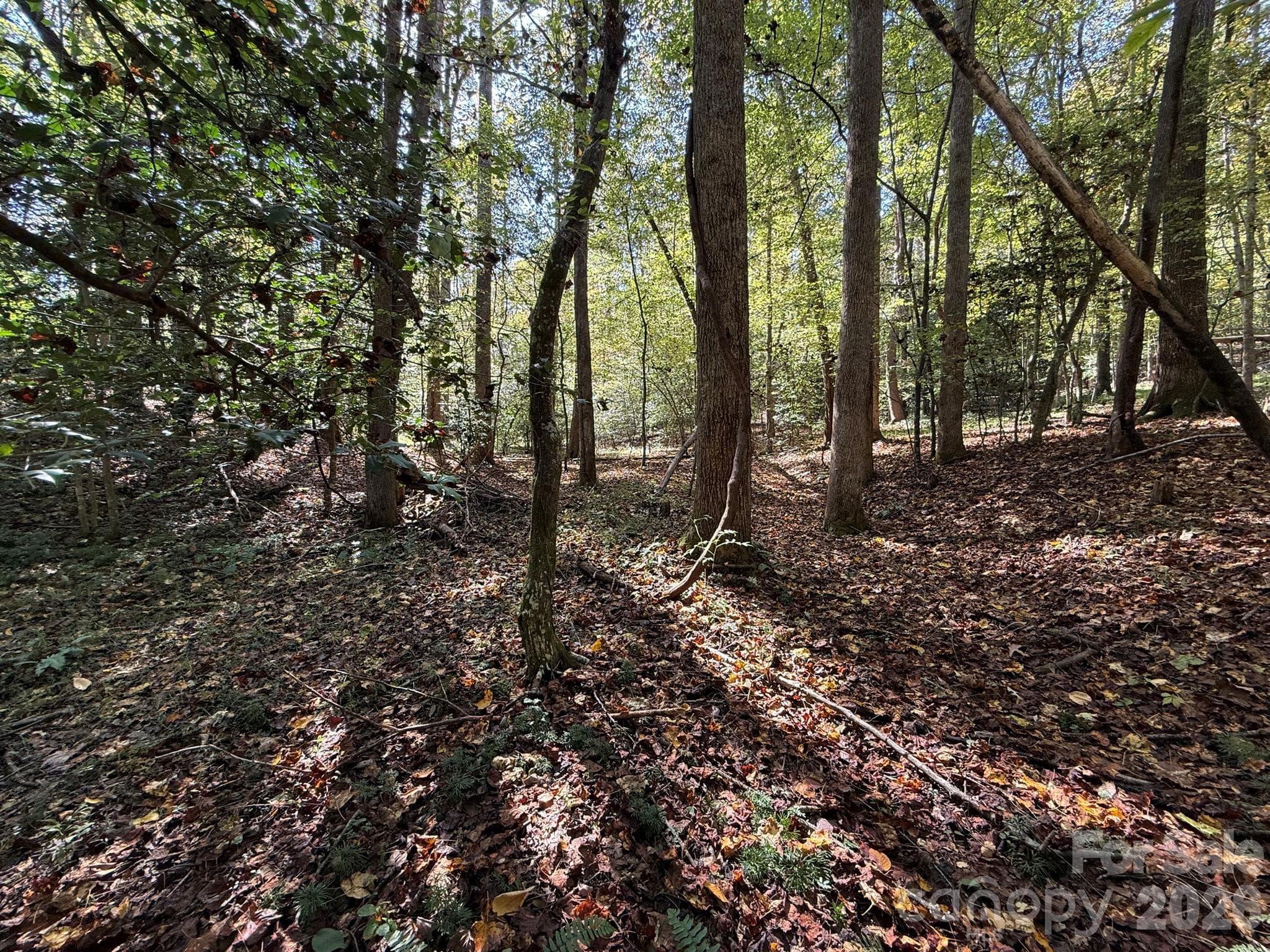 Acreage at V/L Secluded Circle, Marion, photo 35 of 48