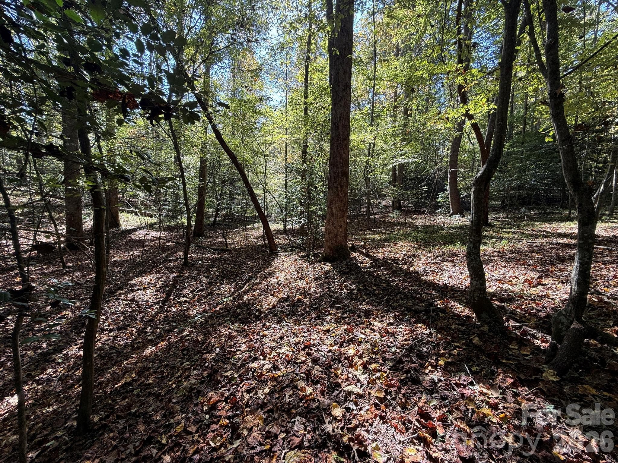 Acreage at V/L Secluded Circle, Marion, photo 36 of 48