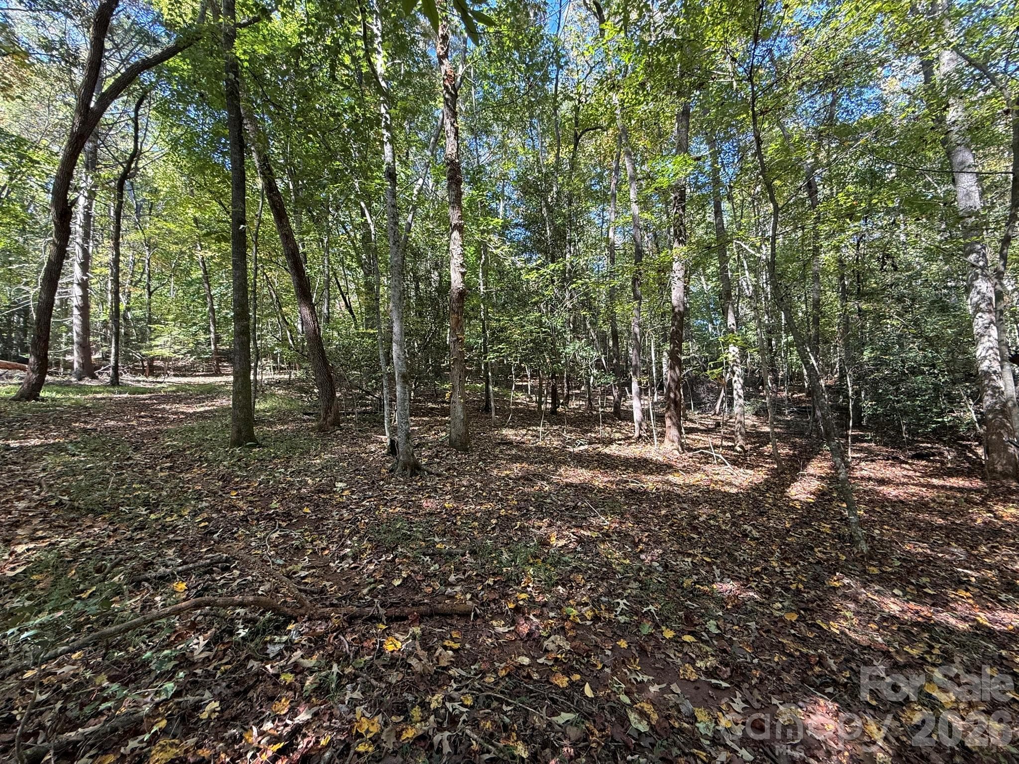Acreage at V/L Secluded Circle, Marion, photo 37 of 48