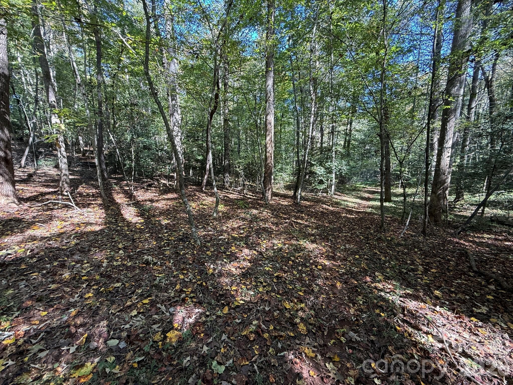 Leading to the creek on the right - V/L Secluded Circle, Marion
