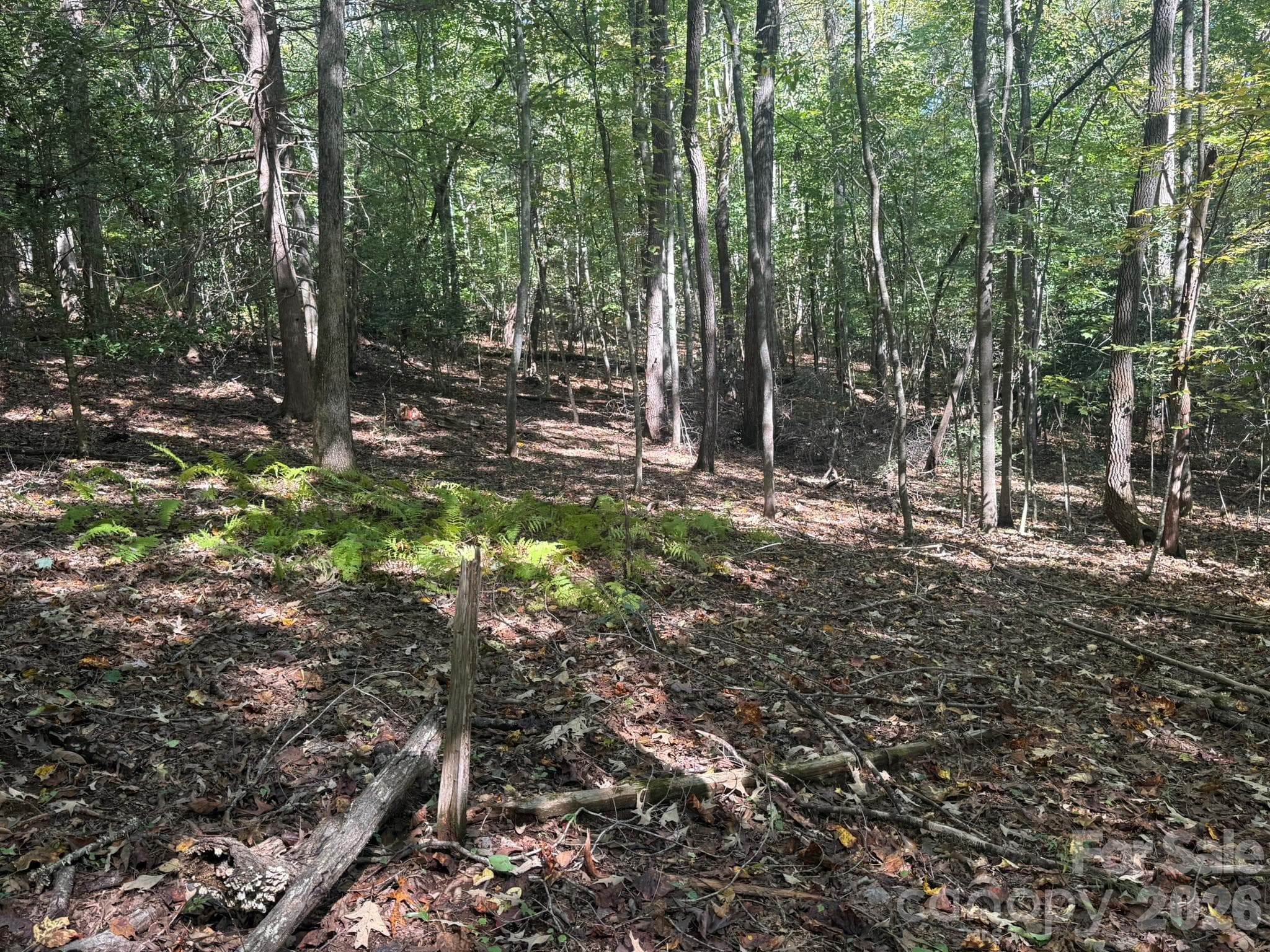 Slope of Lot 26 - V/L Secluded Circle, Marion