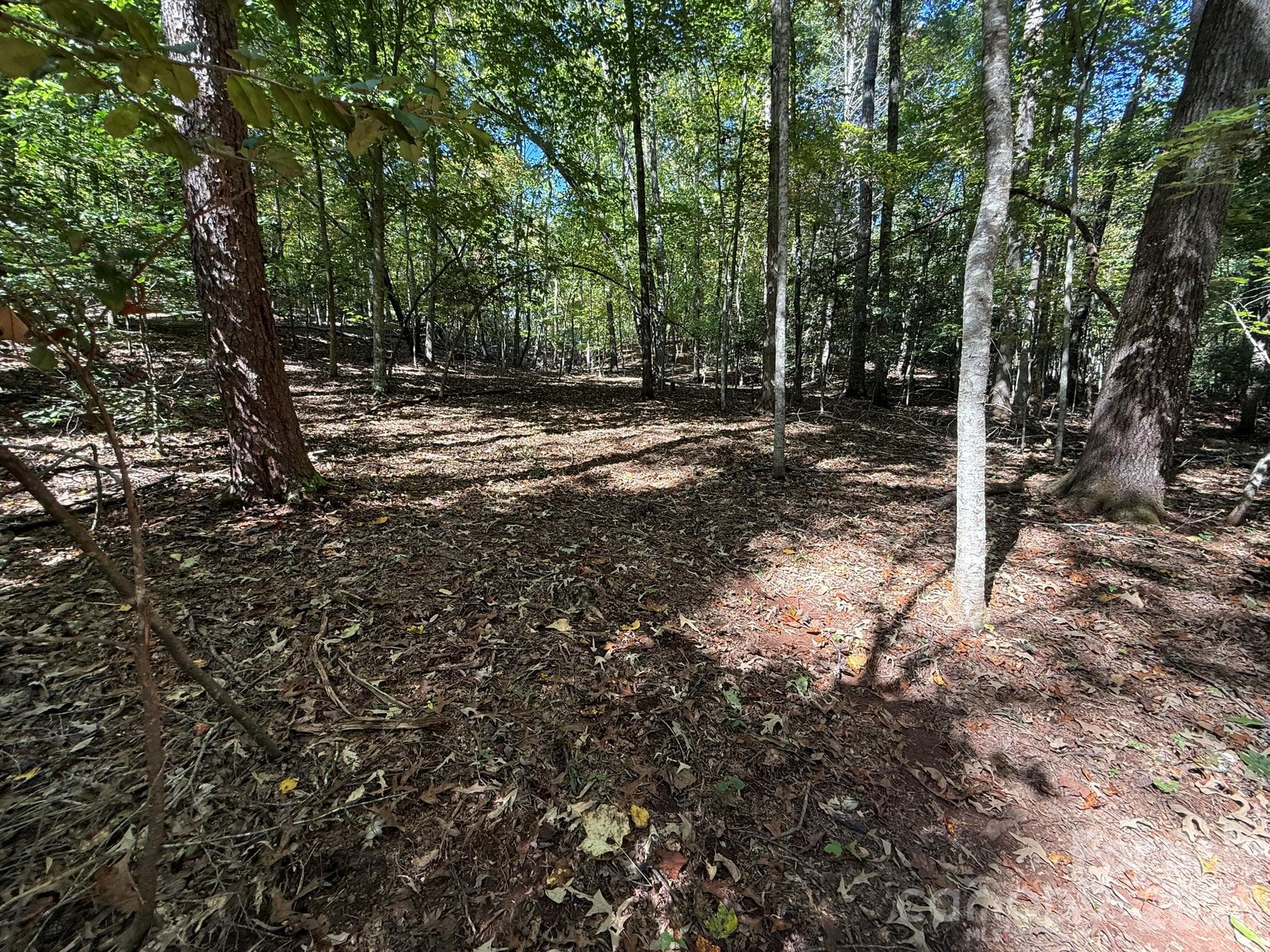 Acreage at V/L Secluded Circle, Marion, photo 40 of 48