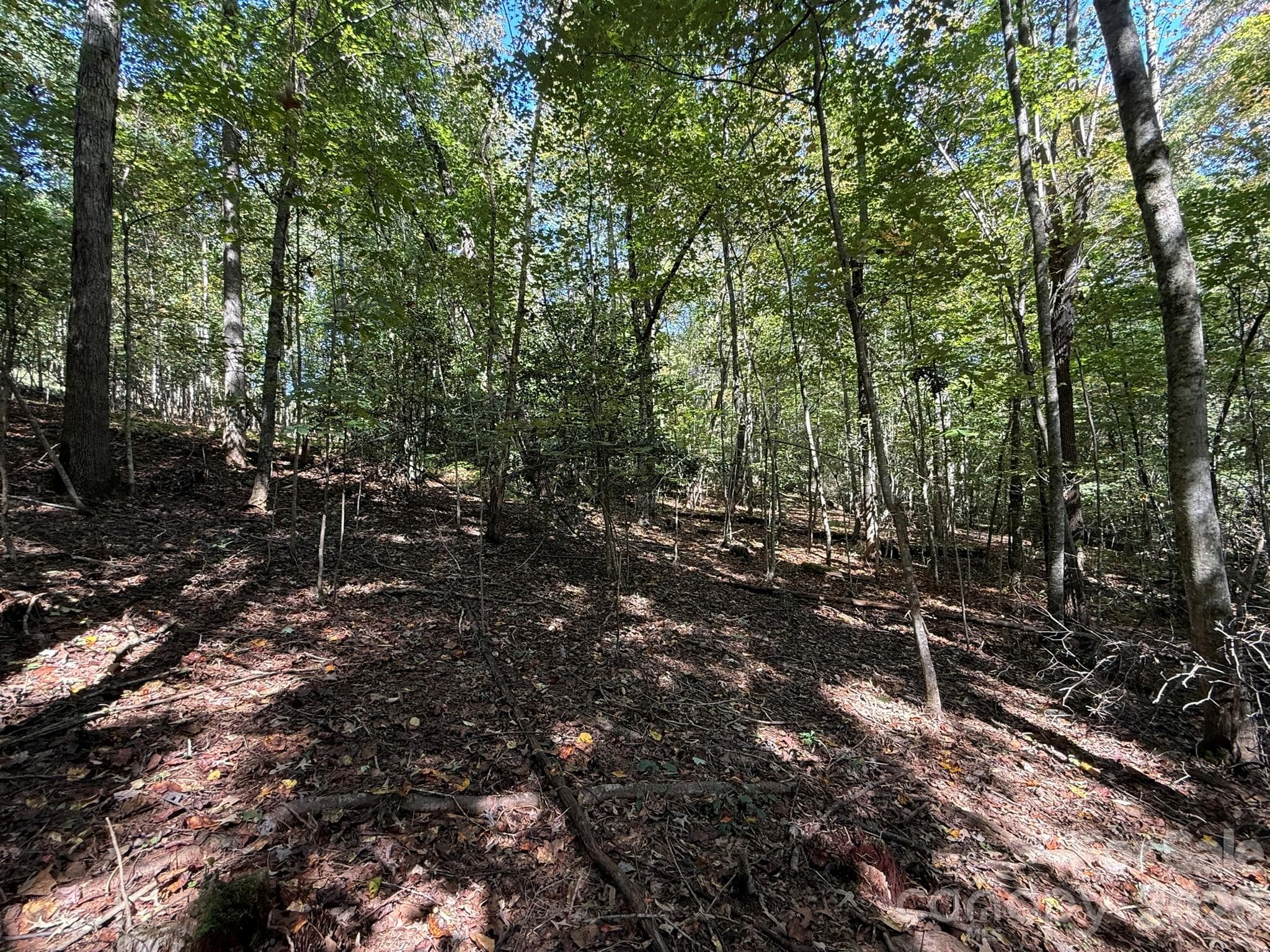 Slope of Lot 26 - V/L Secluded Circle, Marion