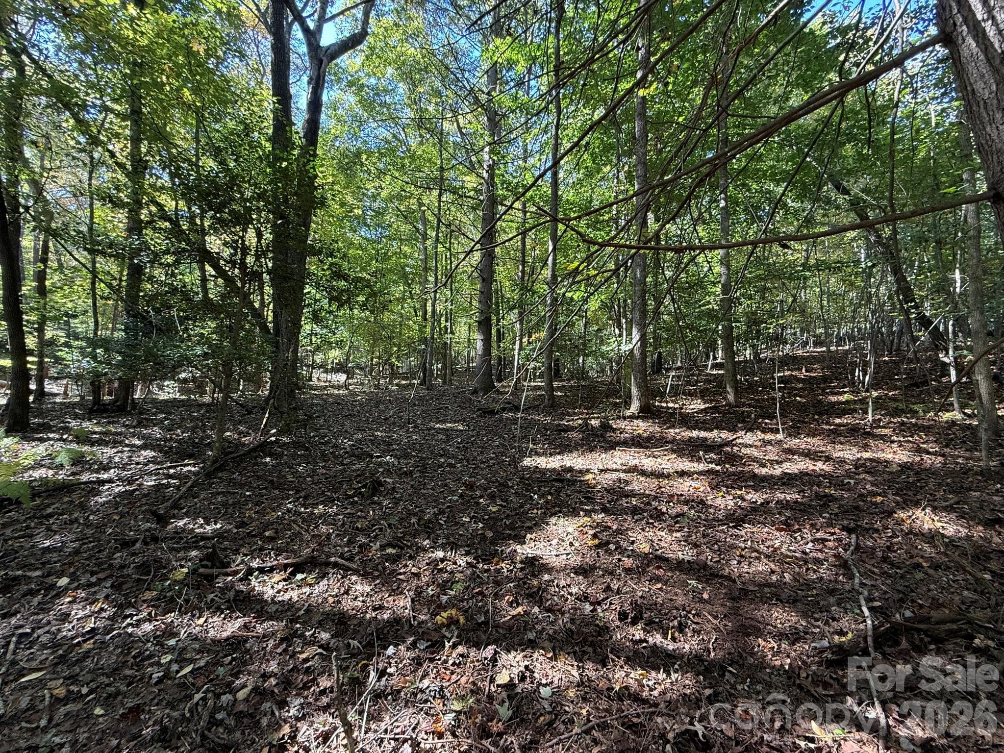 Acreage at V/L Secluded Circle, Marion, photo 43 of 48