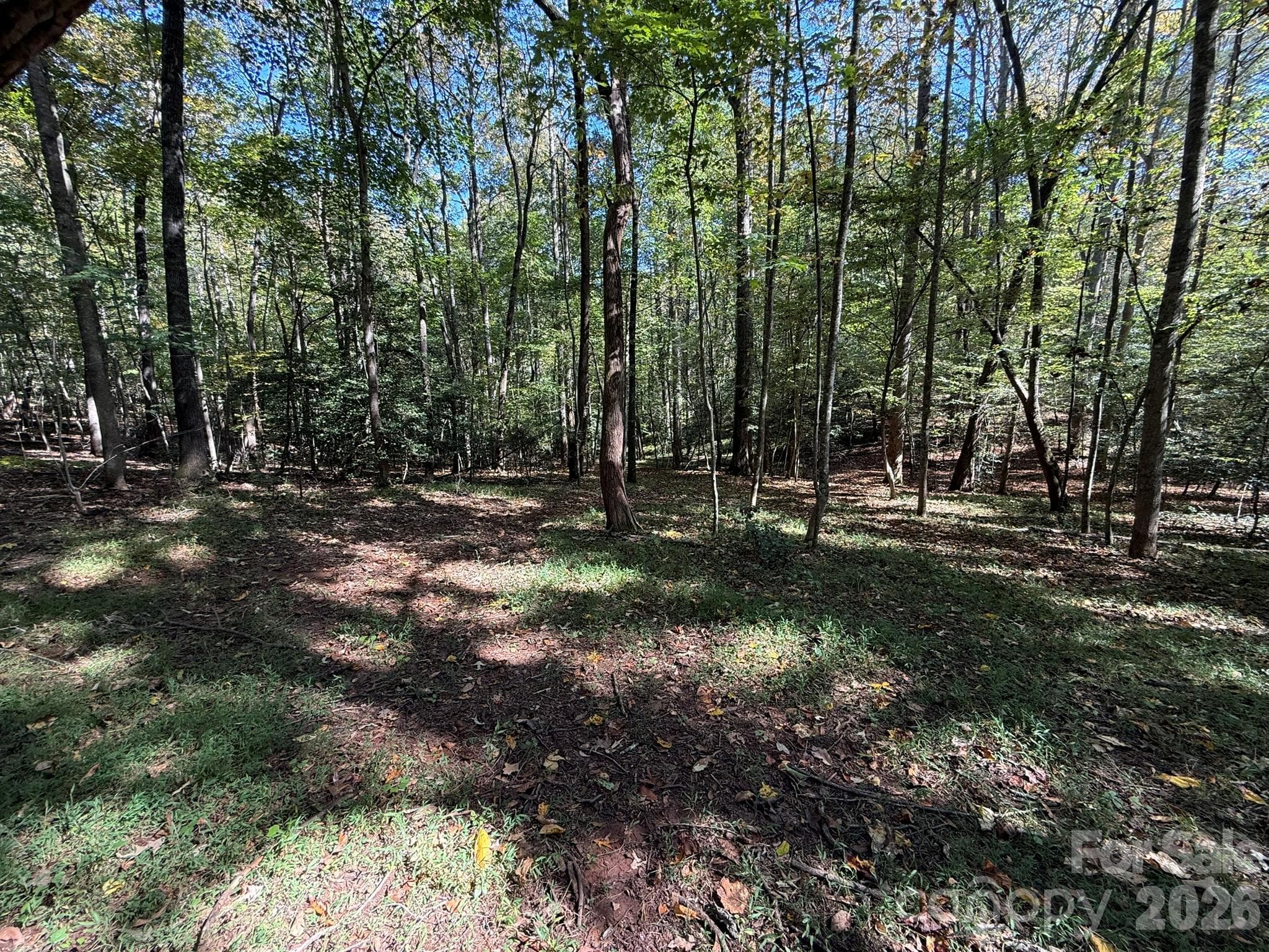 Acreage at V/L Secluded Circle, Marion, photo 46 of 48