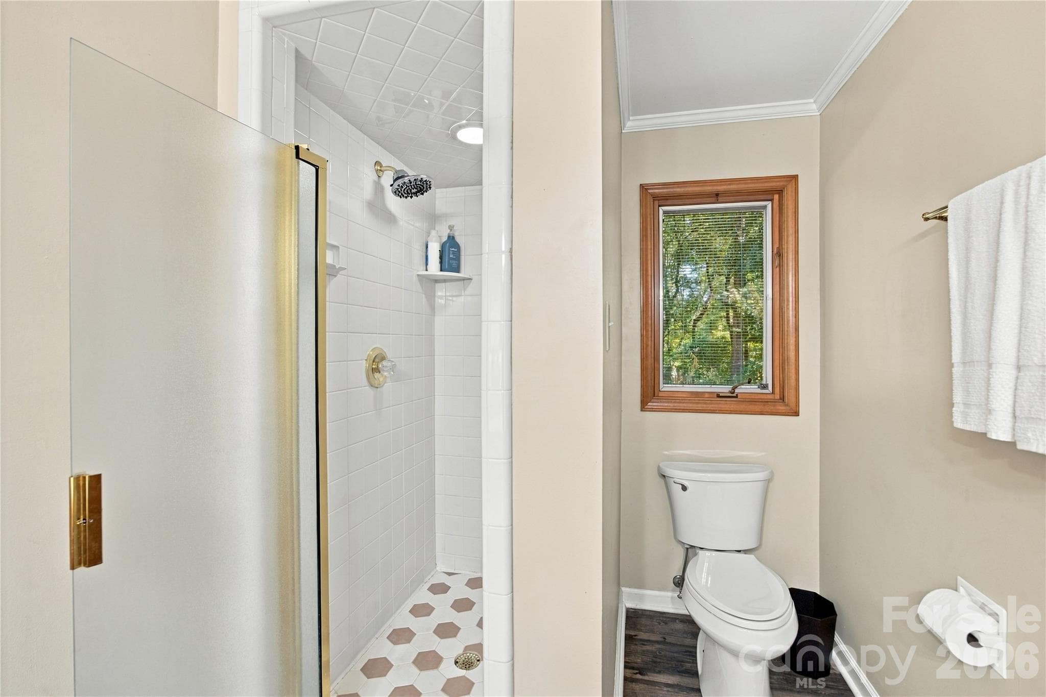 Single Family Residence at 146 Renaissance Place, Statesville, photo 33 of 48