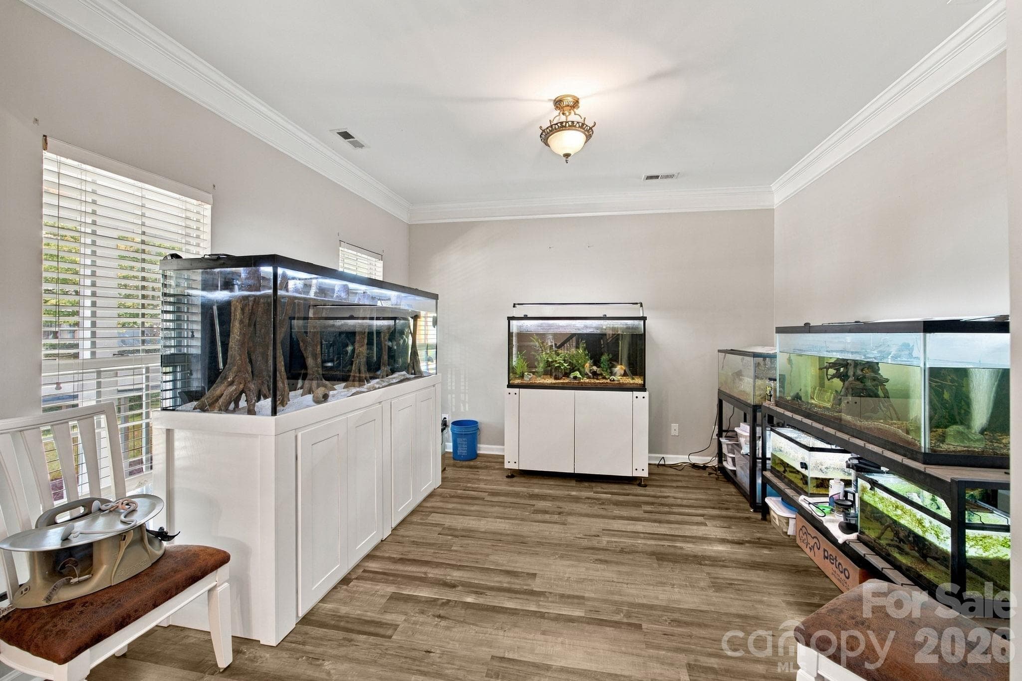 Single Family Residence at 6730 Reedy Creek Road, Charlotte, photo 5 of 48