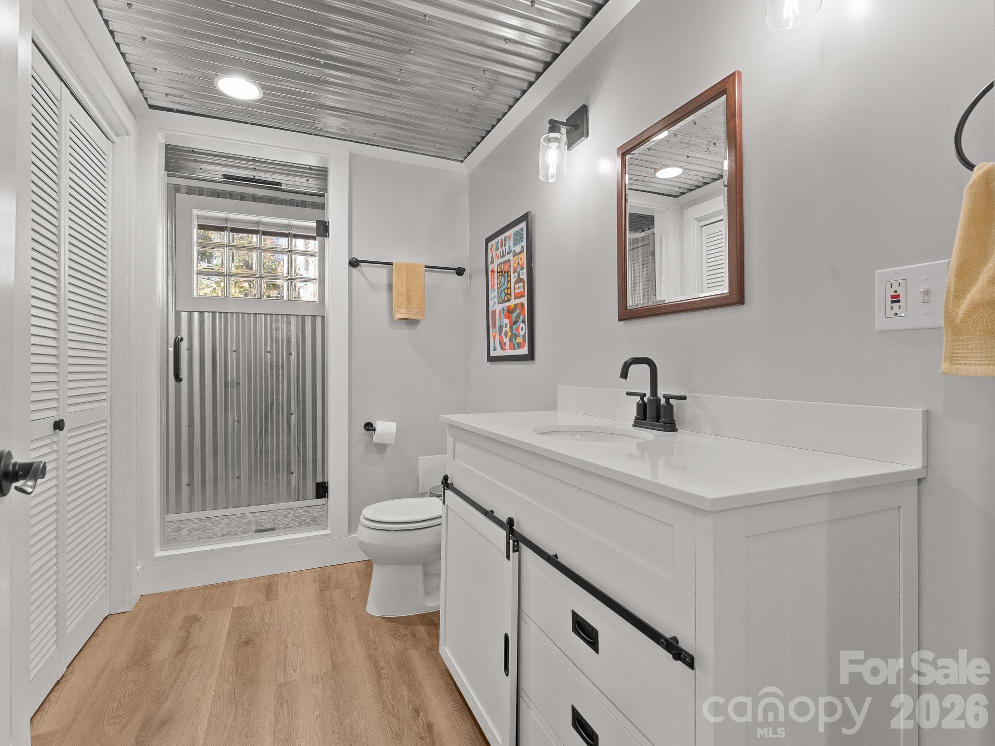 Lower level bathroom with two closets! - 69 Eargle Road, Tryon