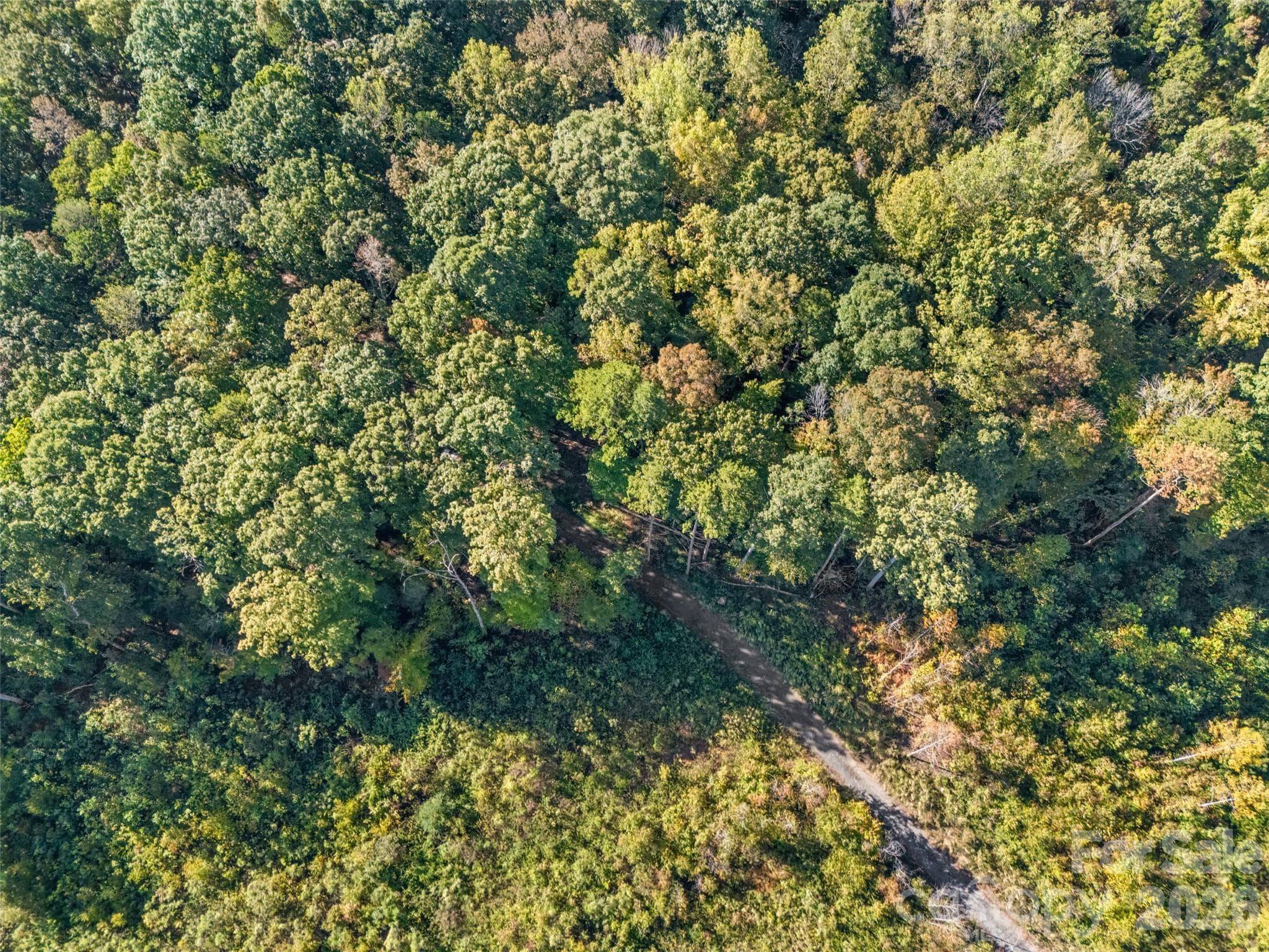 Acreage at 0000 Oakridge Road, Clover, photo 4 of 12
