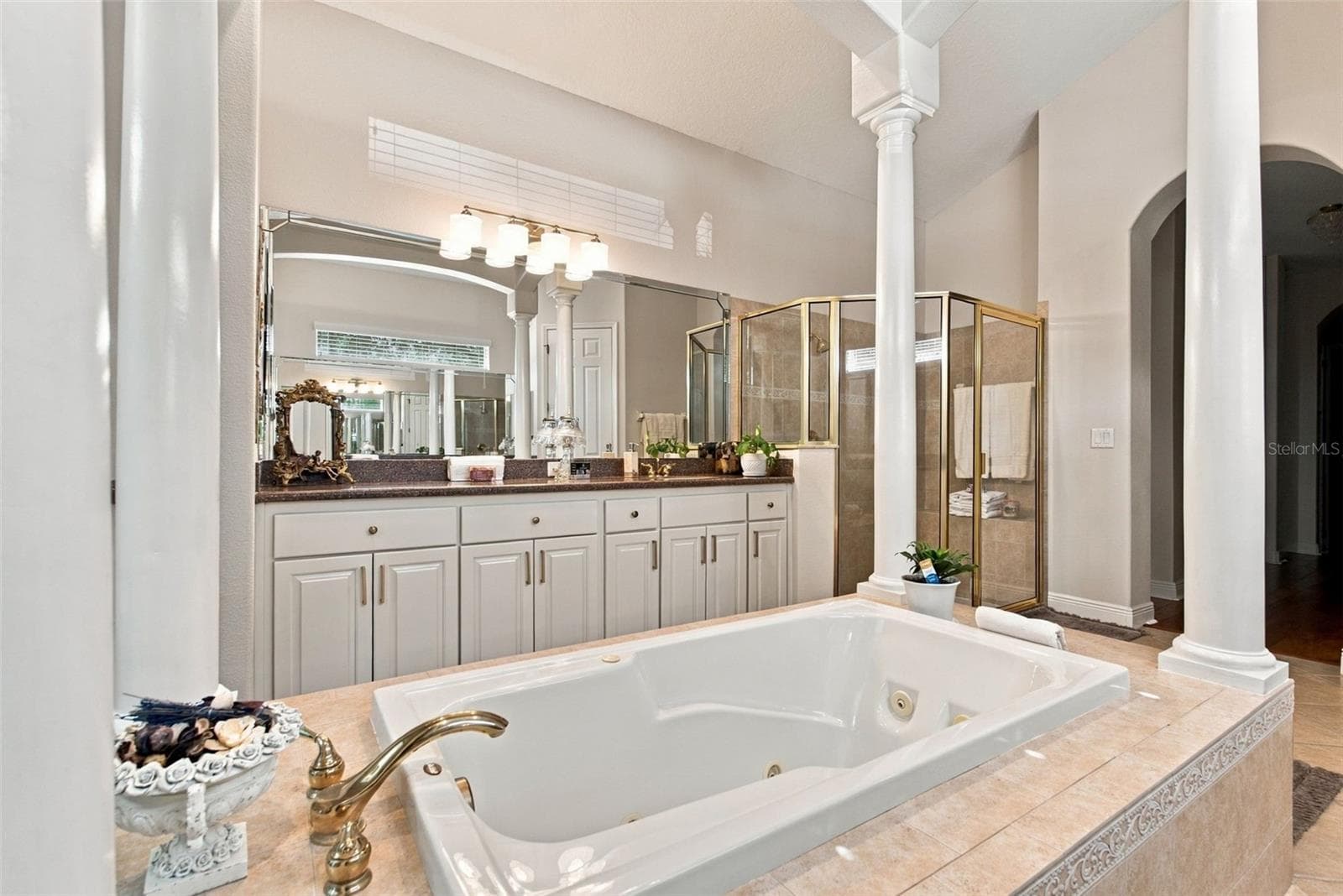 Primary En-Suite - 20203 CANE RIVER WAY, TAMPA